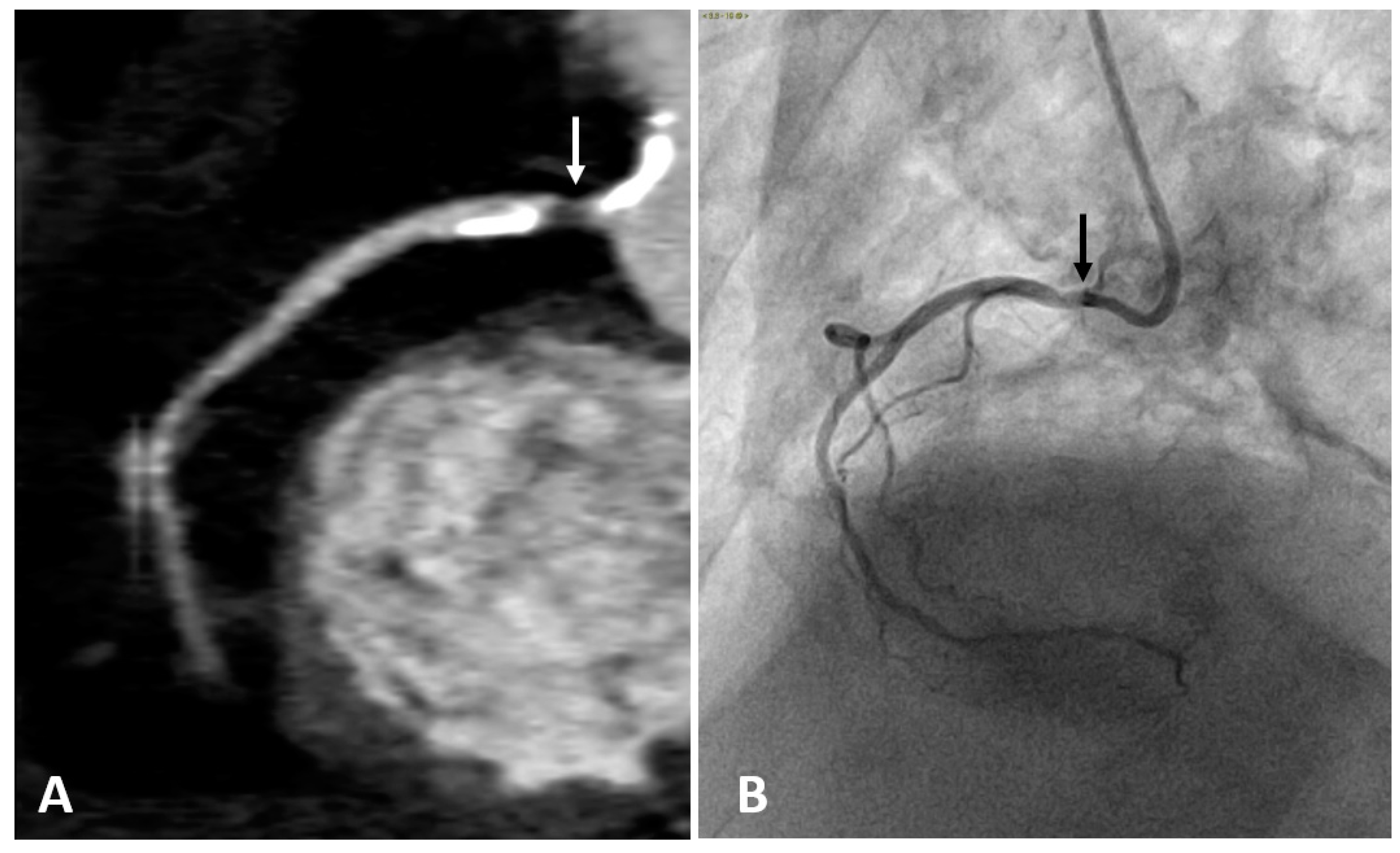 Diagnostics 10 00065 g002