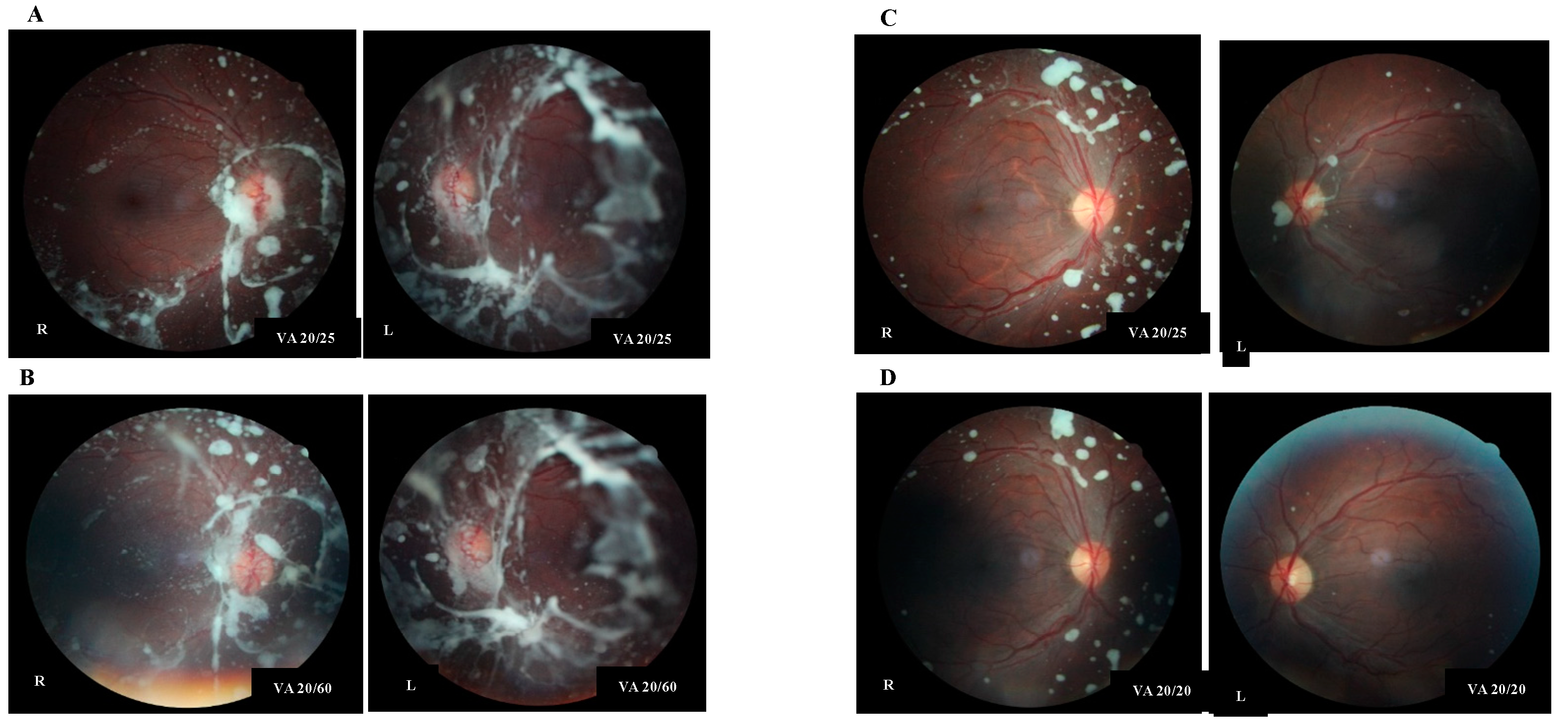 Diagnostics 10 00069 g001