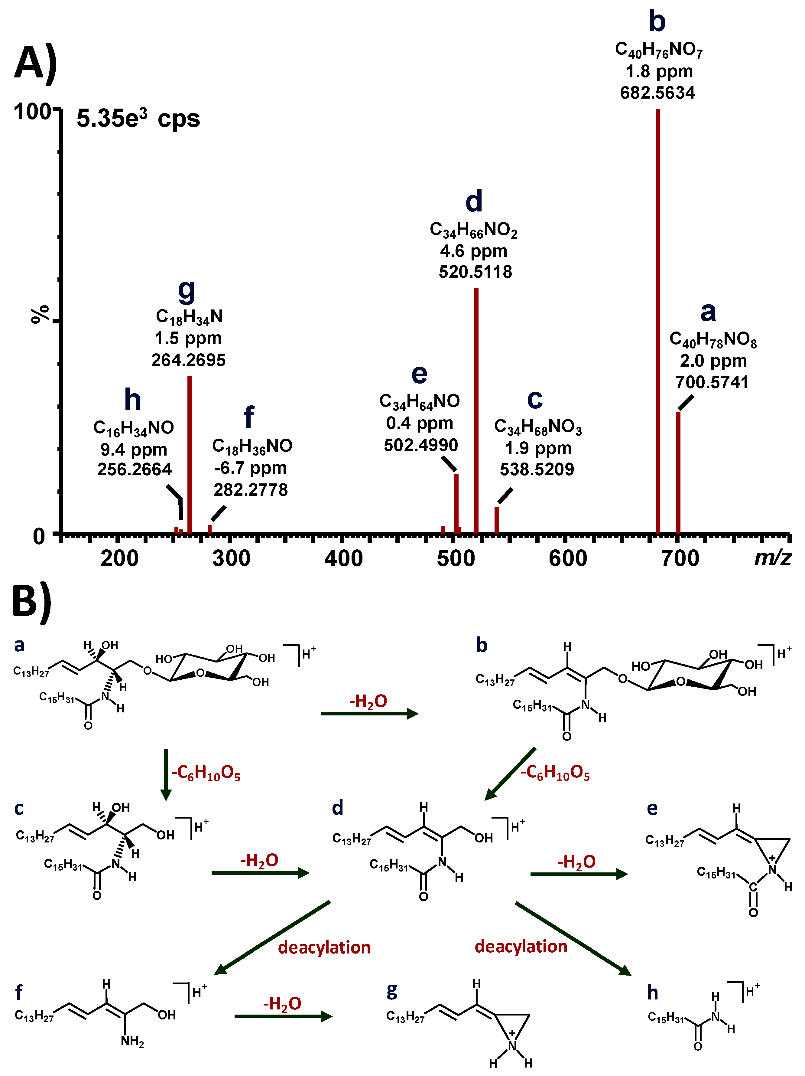 Diagnostics 10 00069 g003