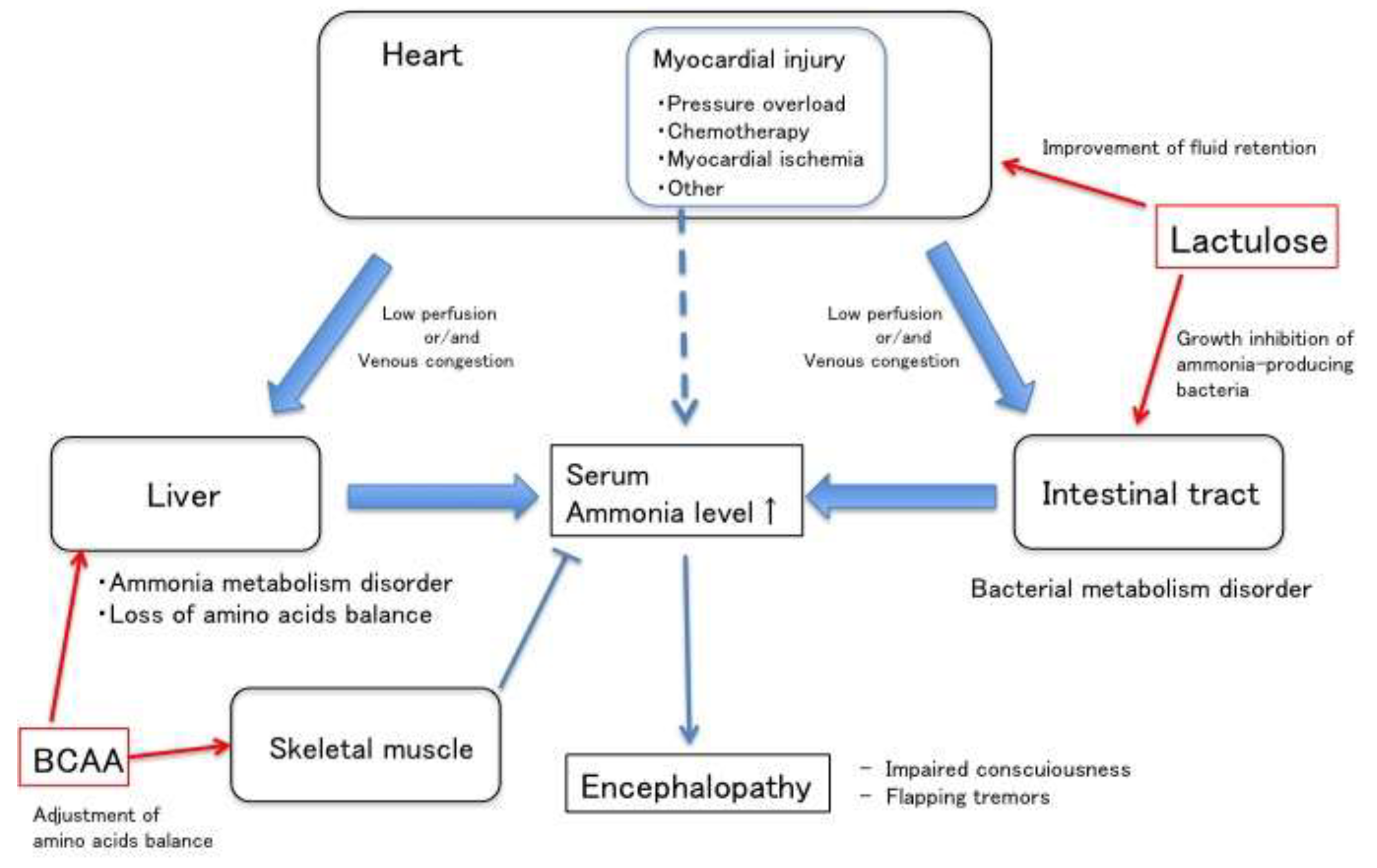 Diagnostics 10 00070 g006