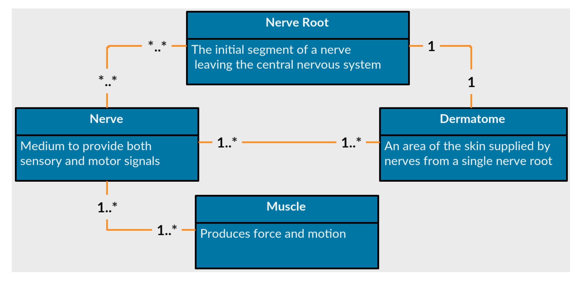Diagnostics 10 00072 g005
