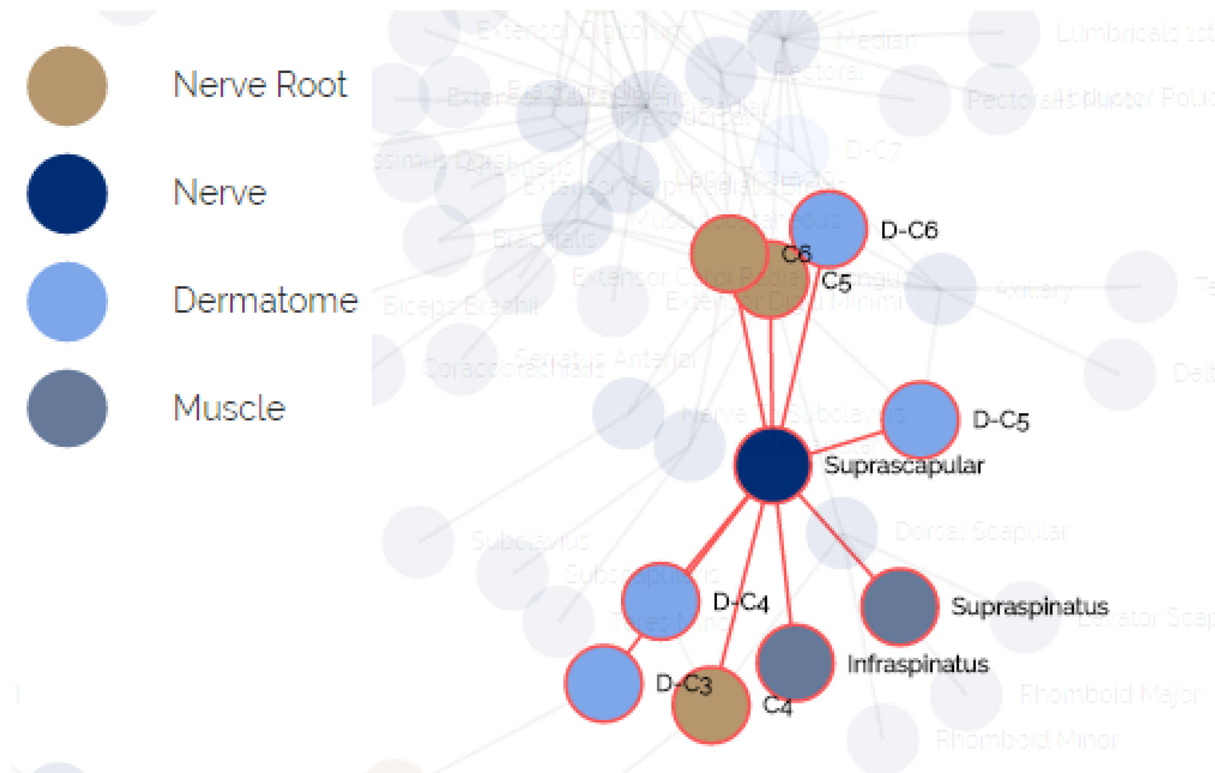 Diagnostics 10 00072 g006