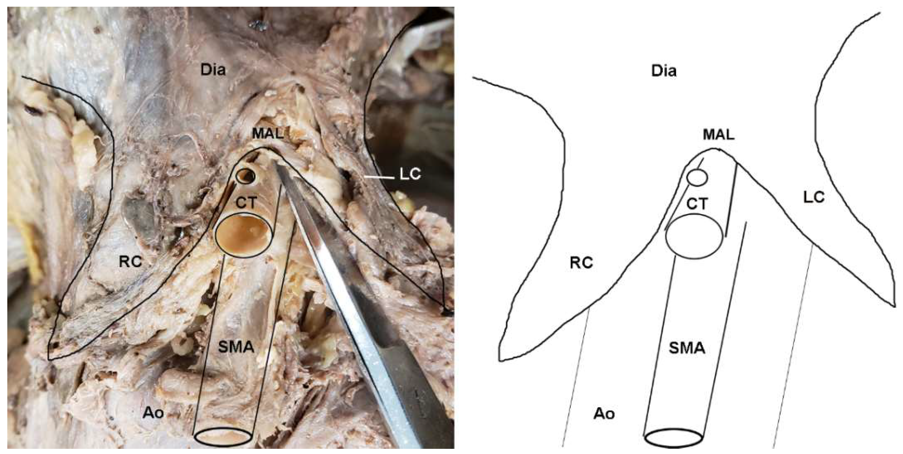 Diagnostics 10 00076 g002