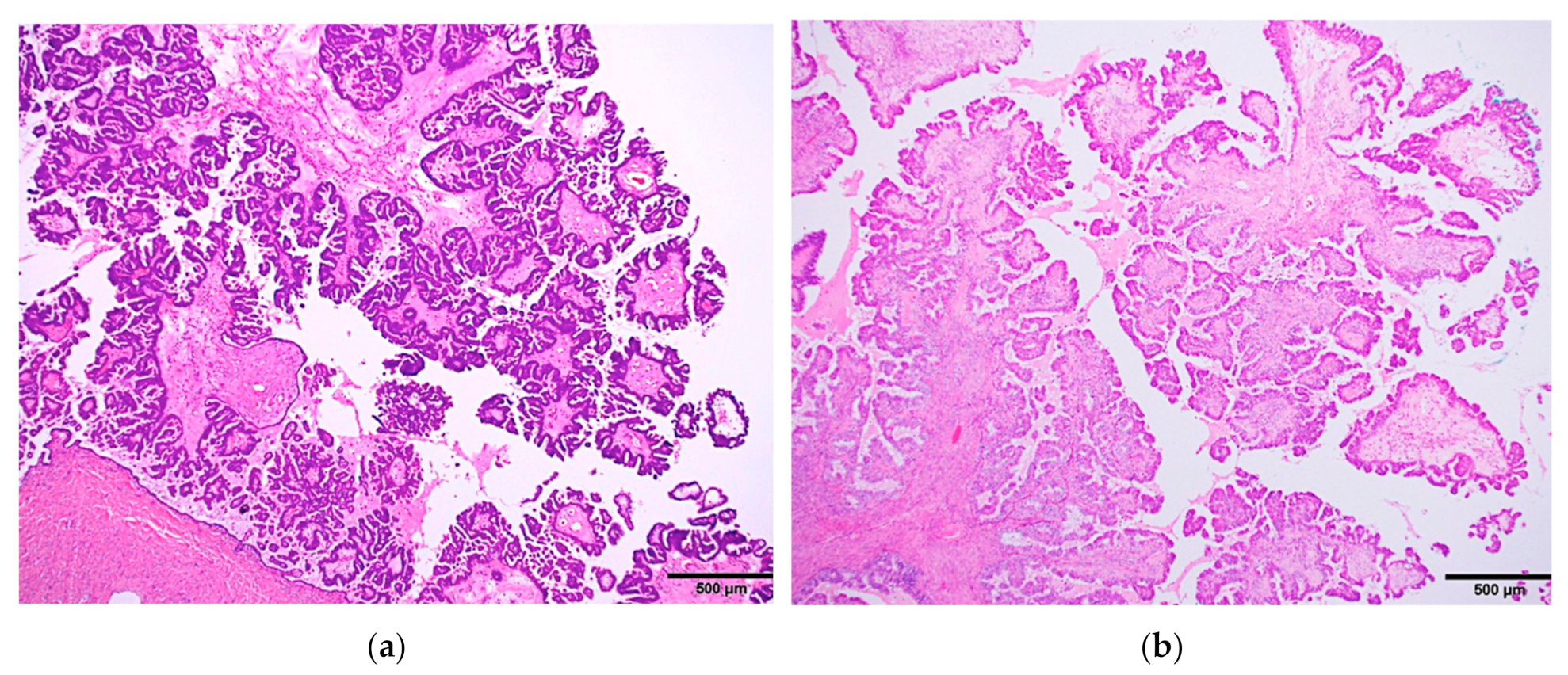 Diagnostics 10 00077 g003