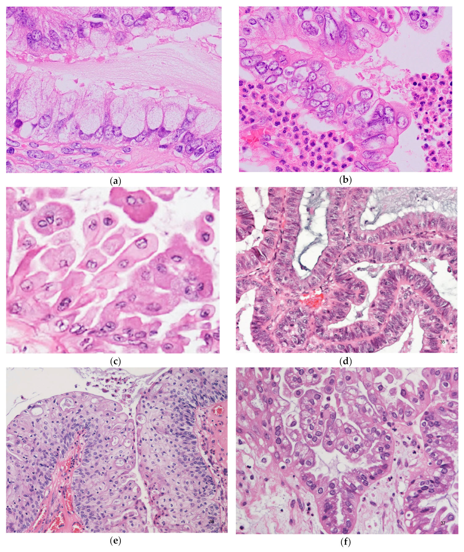 Diagnostics 10 00077 g004