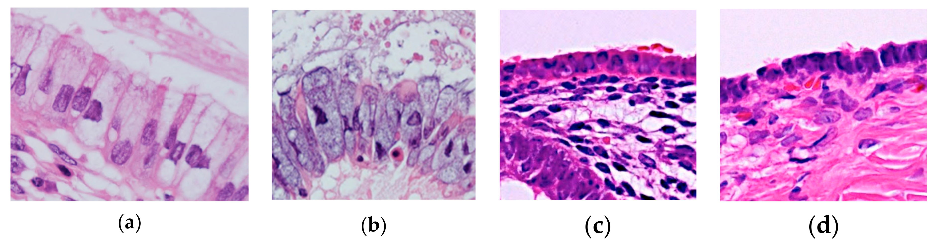 Diagnostics 10 00077 g006