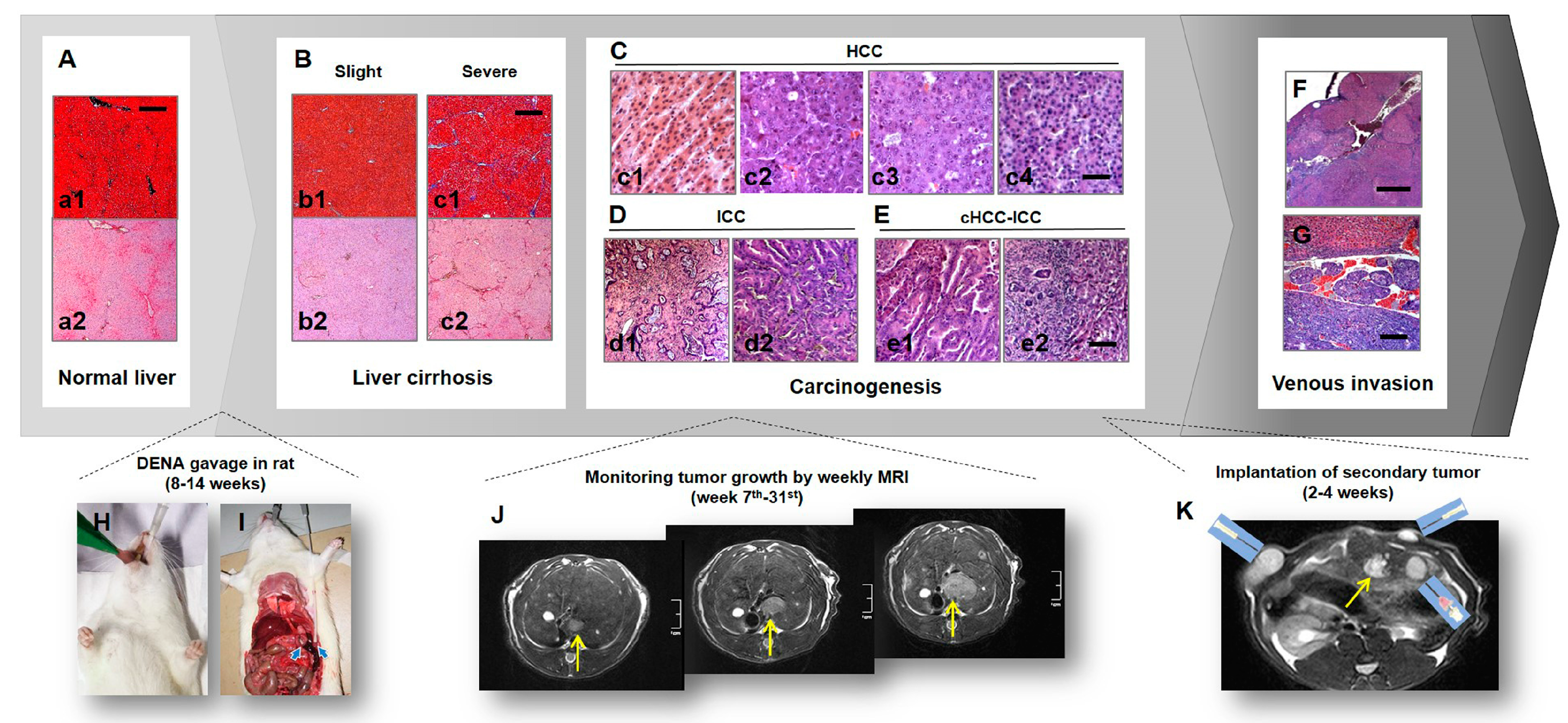 Diagnostics 10 00078 g001
