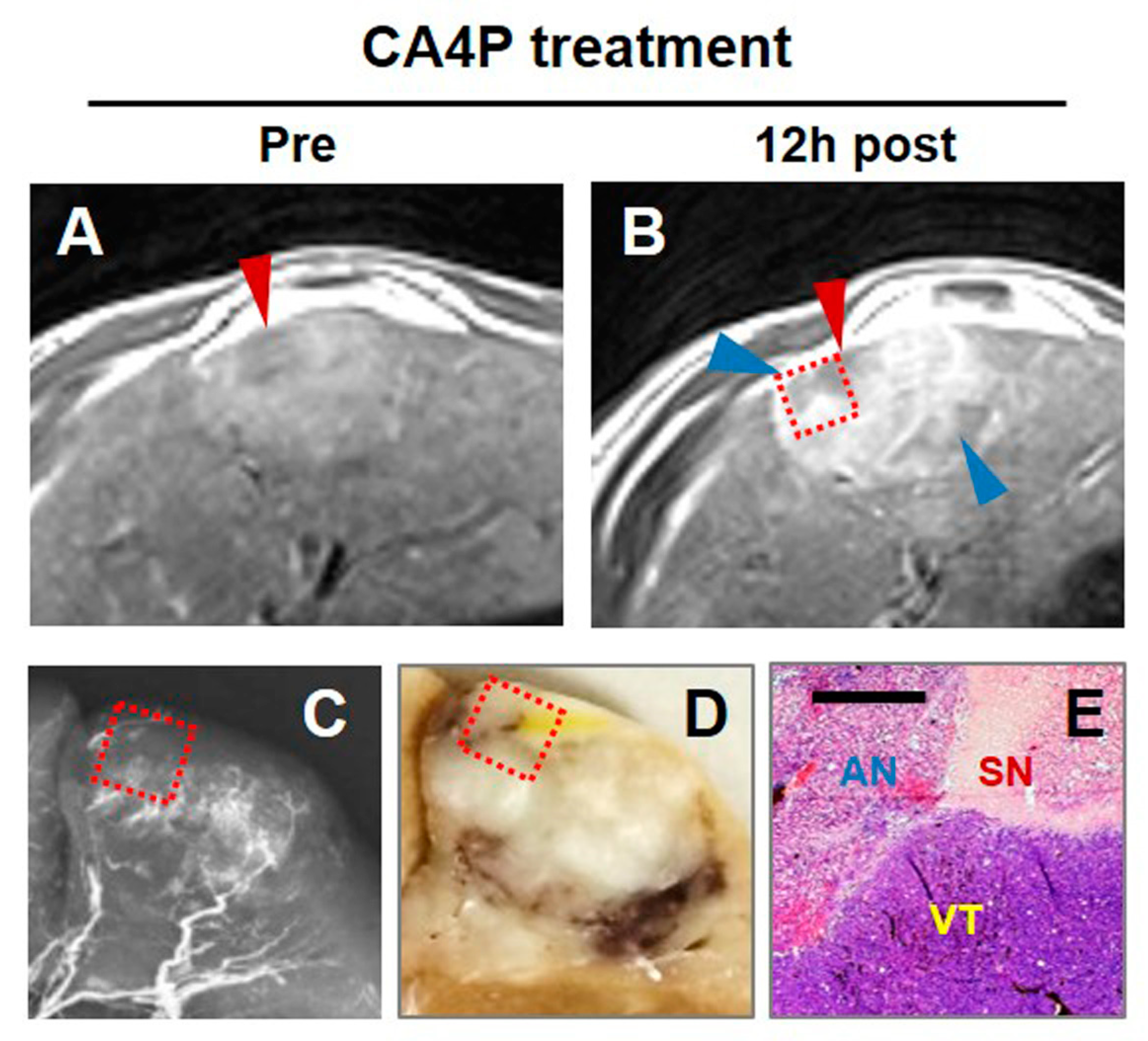 Diagnostics 10 00078 g004