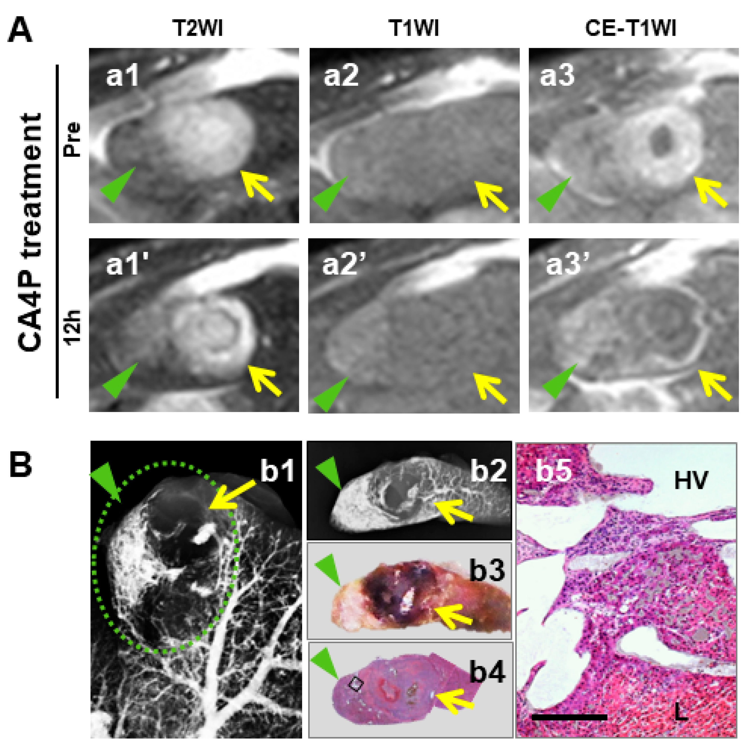 Diagnostics 10 00078 g005
