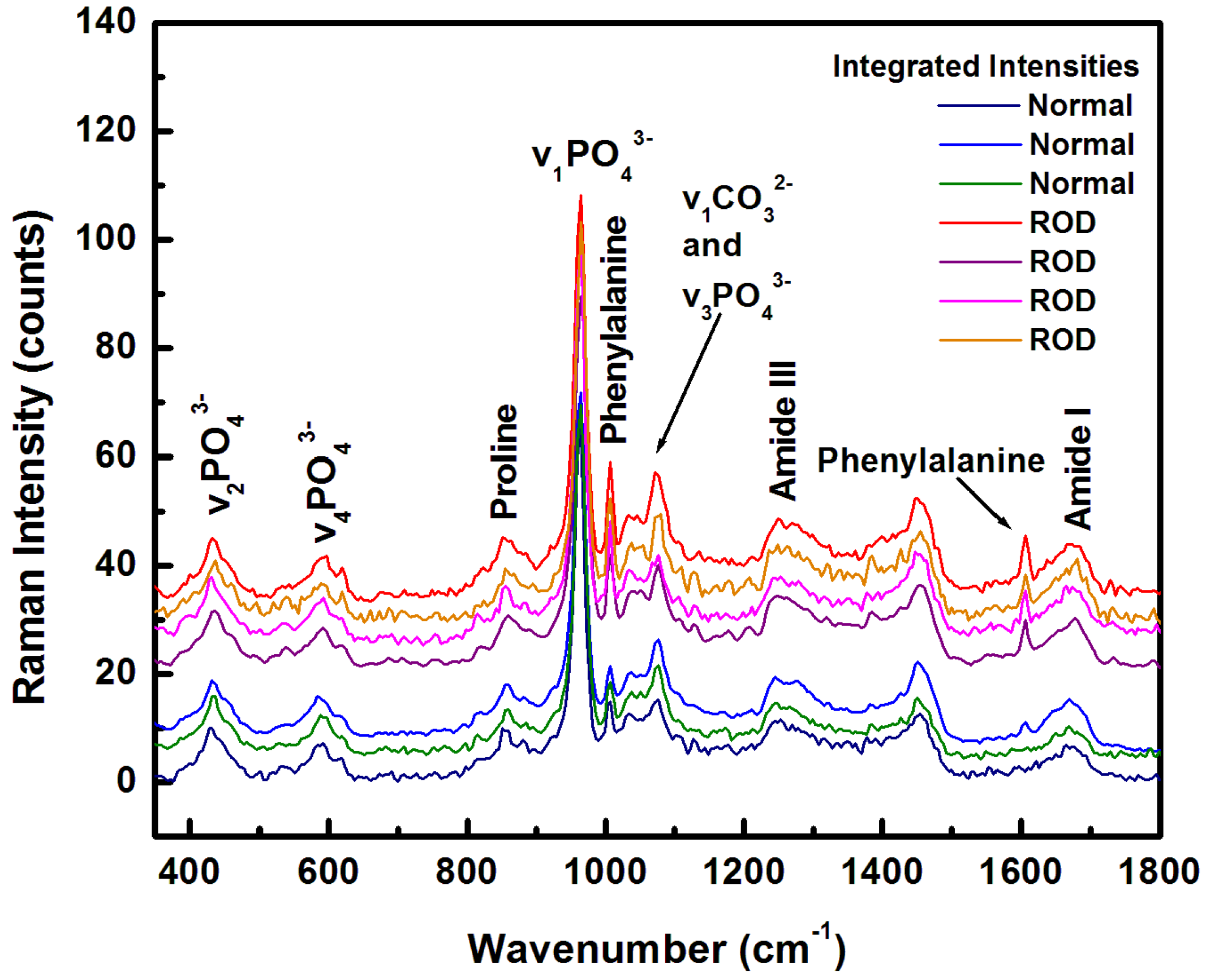Diagnostics 10 00079 g001