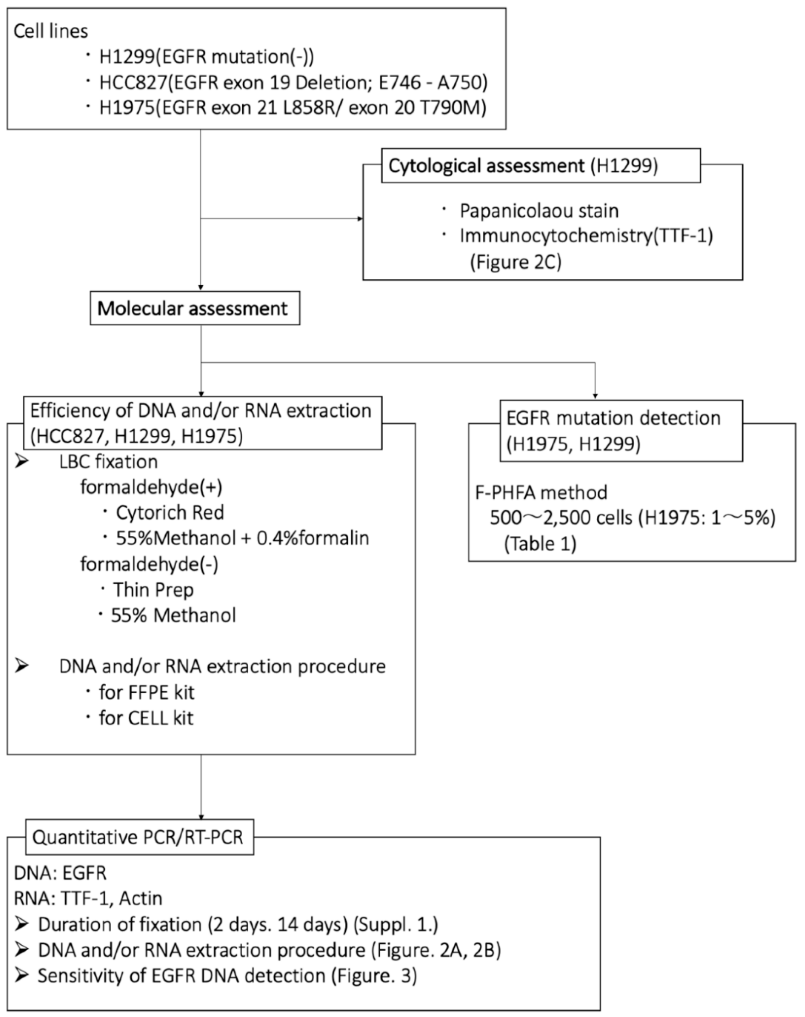 Diagnostics 10 00084 g001