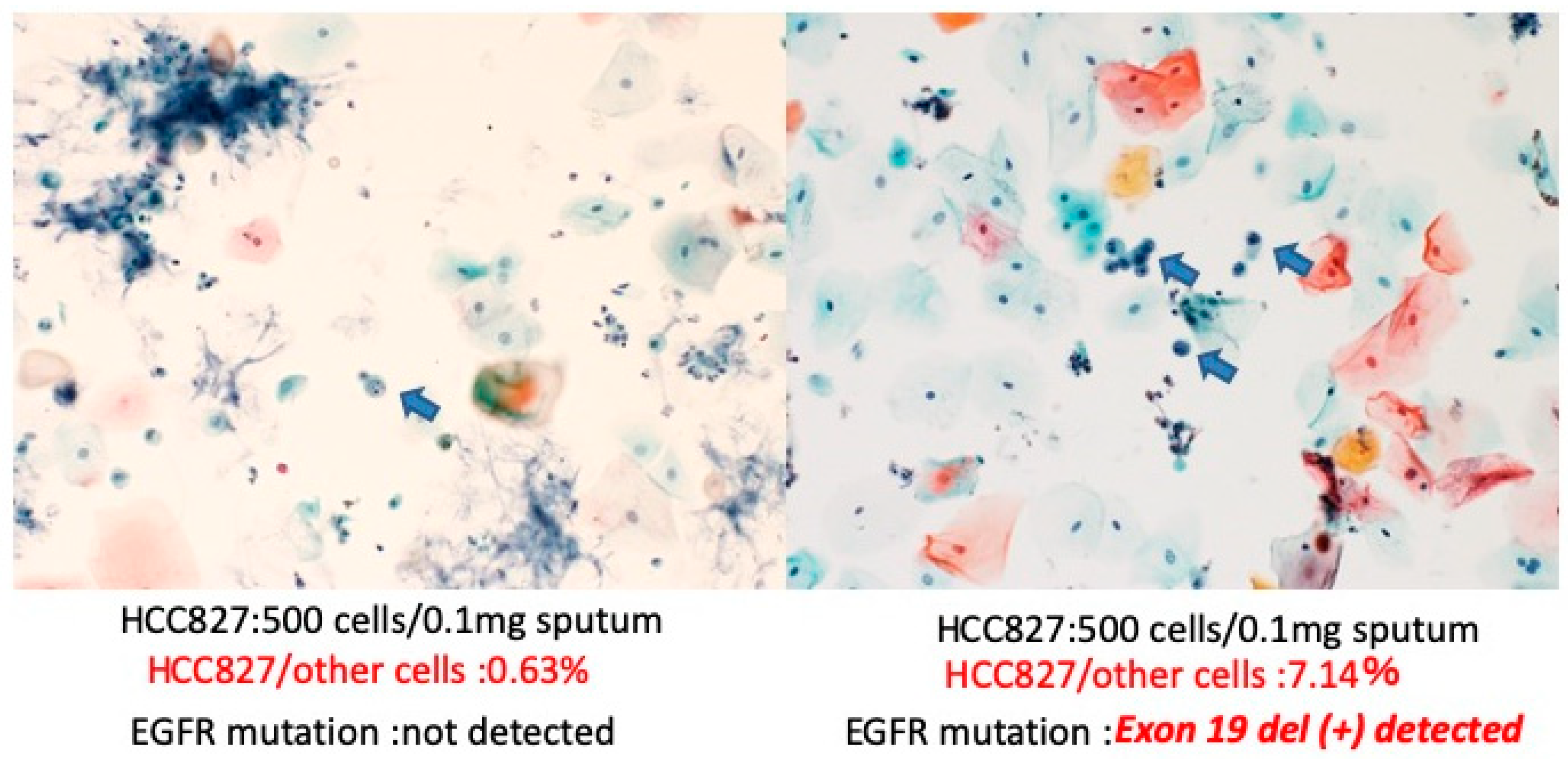 Diagnostics 10 00084 g005