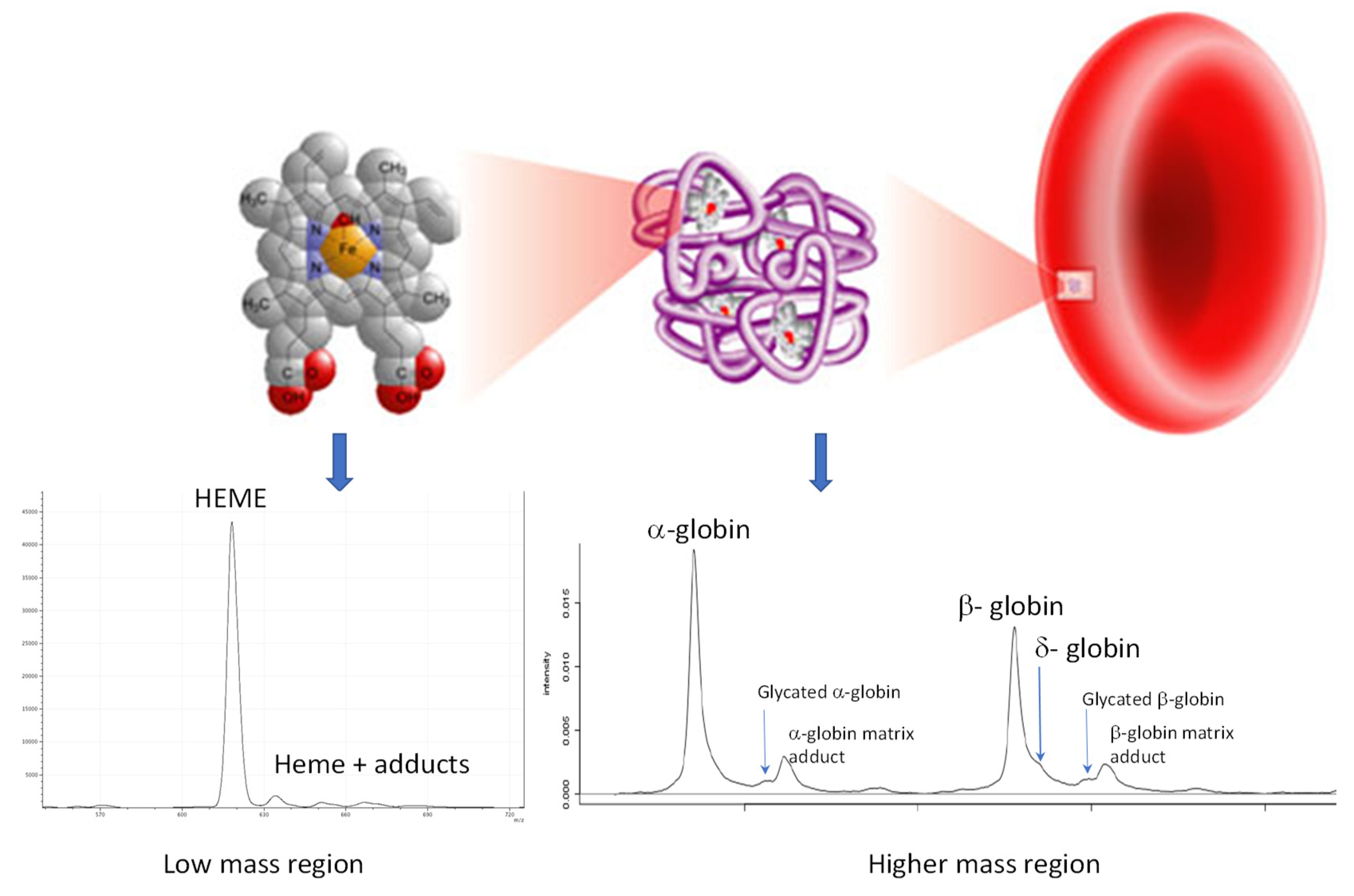 Diagnostics 10 00094 g002