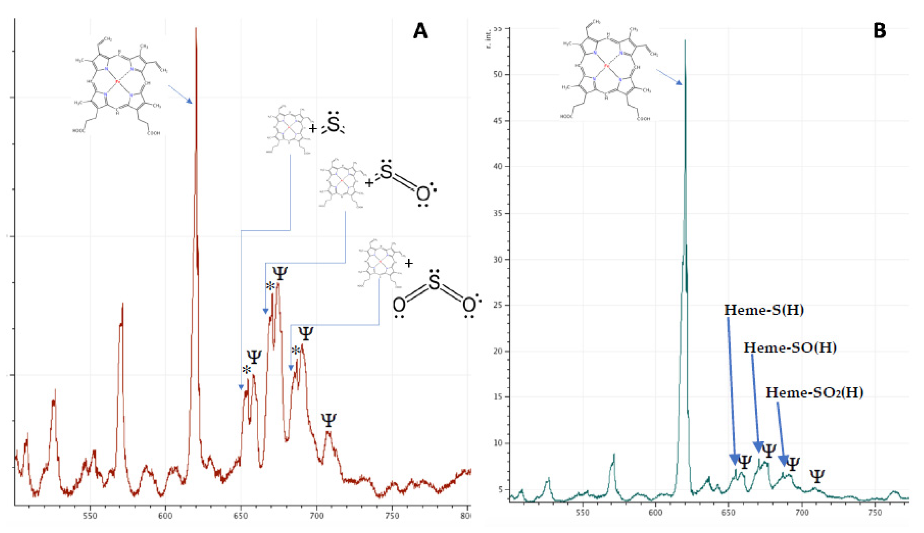 Diagnostics 10 00094 g004