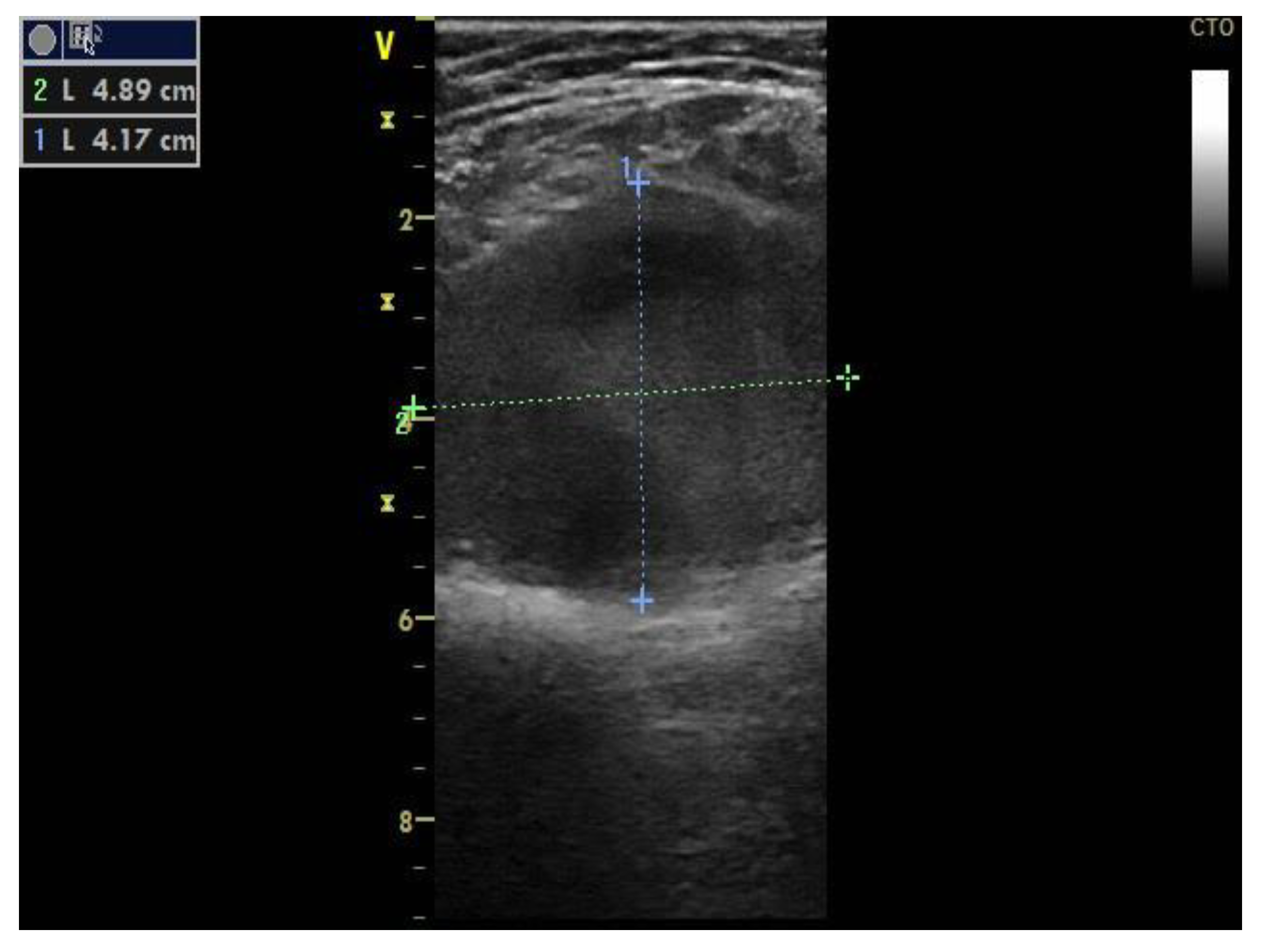Diagnostics 10 00096 g001