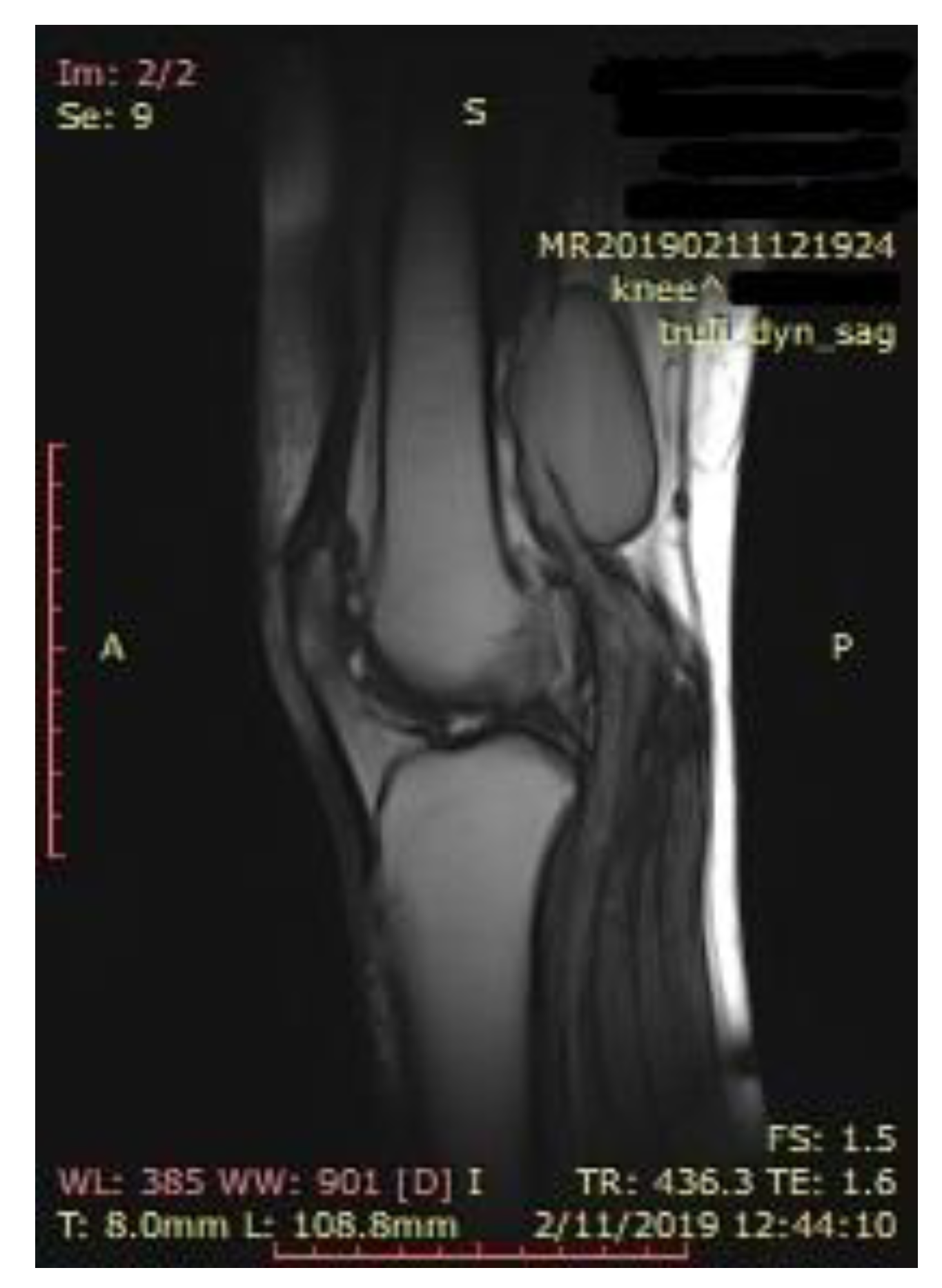 Diagnostics 10 00096 g002