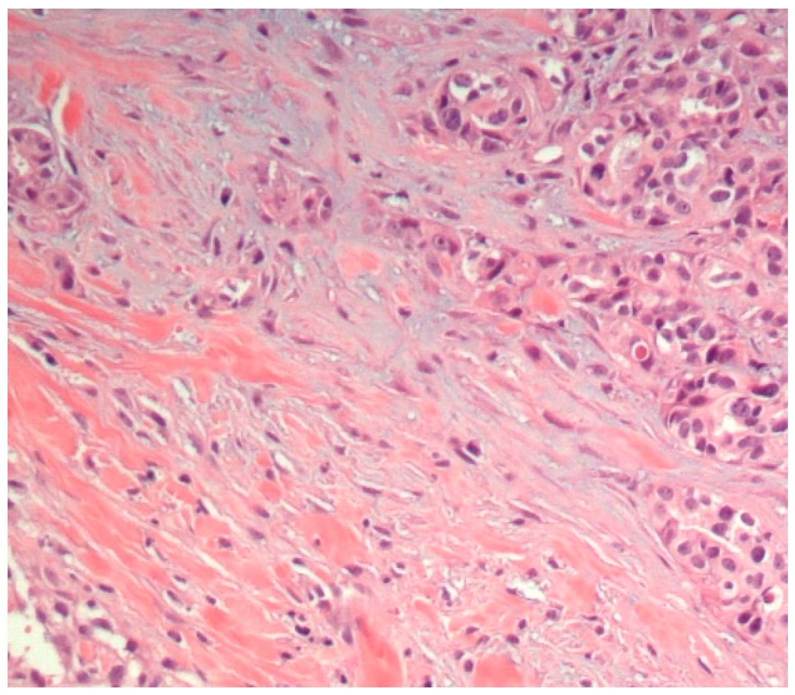 Diagnostics 10 00104 g001