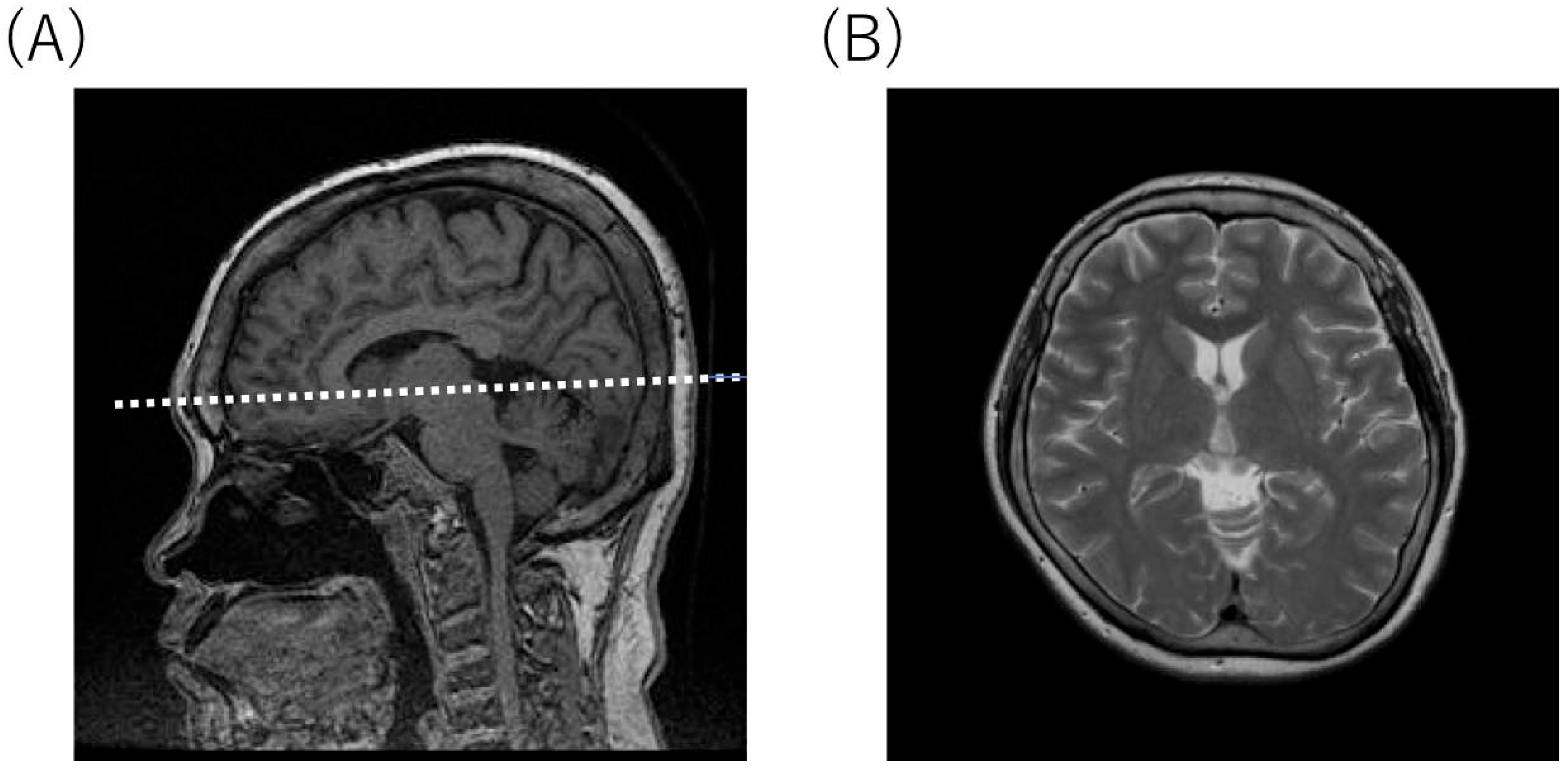 Diagnostics 10 00105 g003