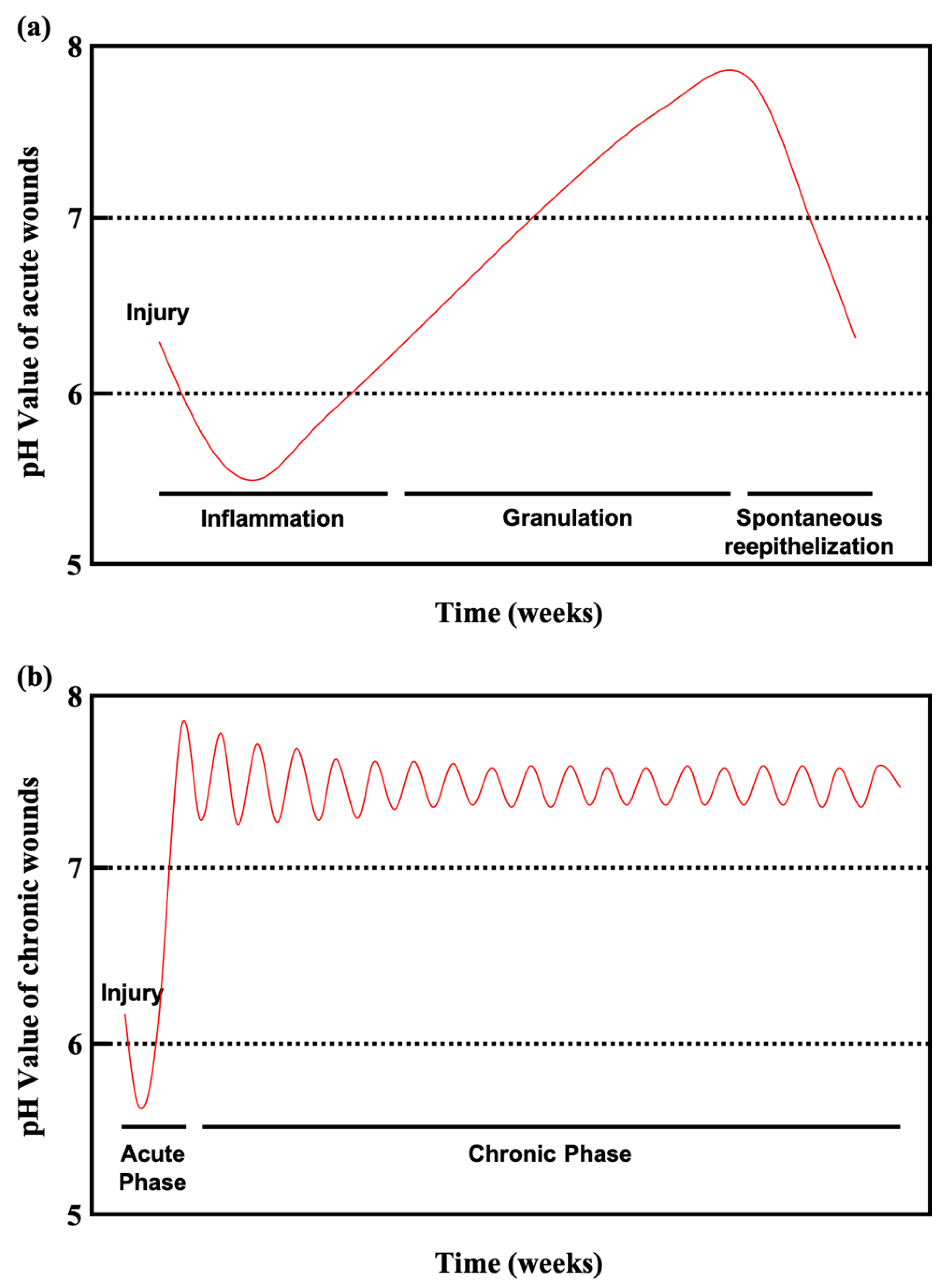 Diagnostics 10 00107 g003 Diagnostics 10 00107 g003