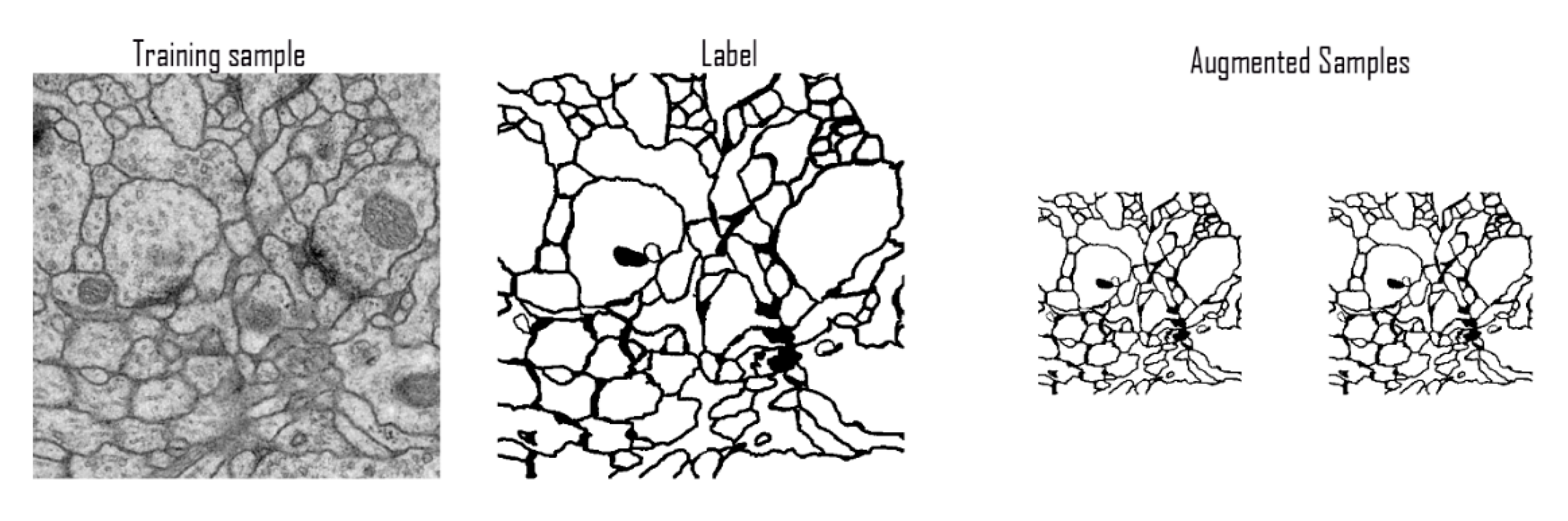 Diagnostics 10 00110 g007