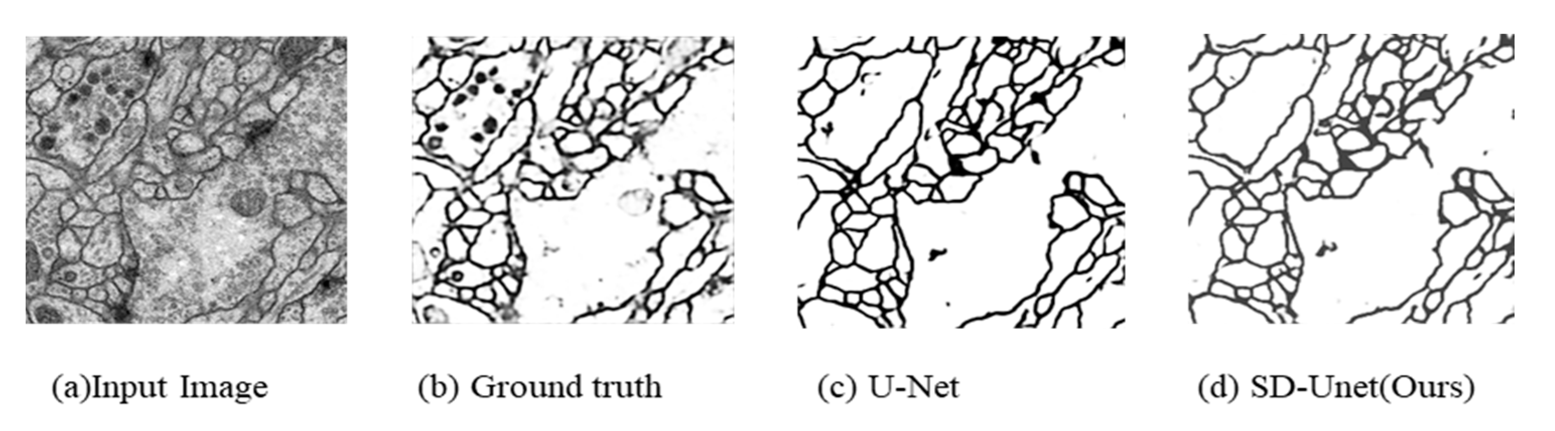 Diagnostics 10 00110 g009