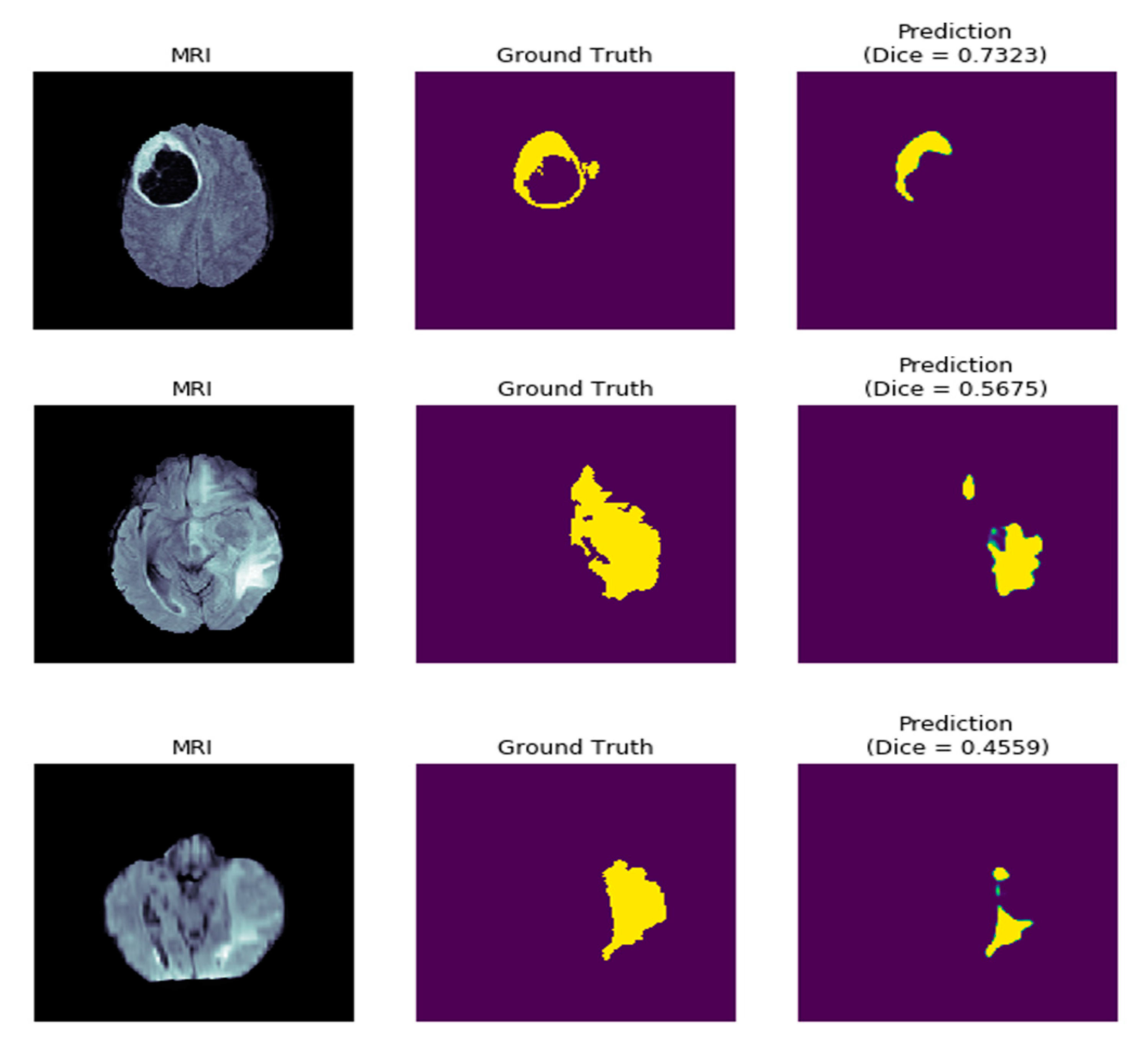 Diagnostics 10 00110 g012