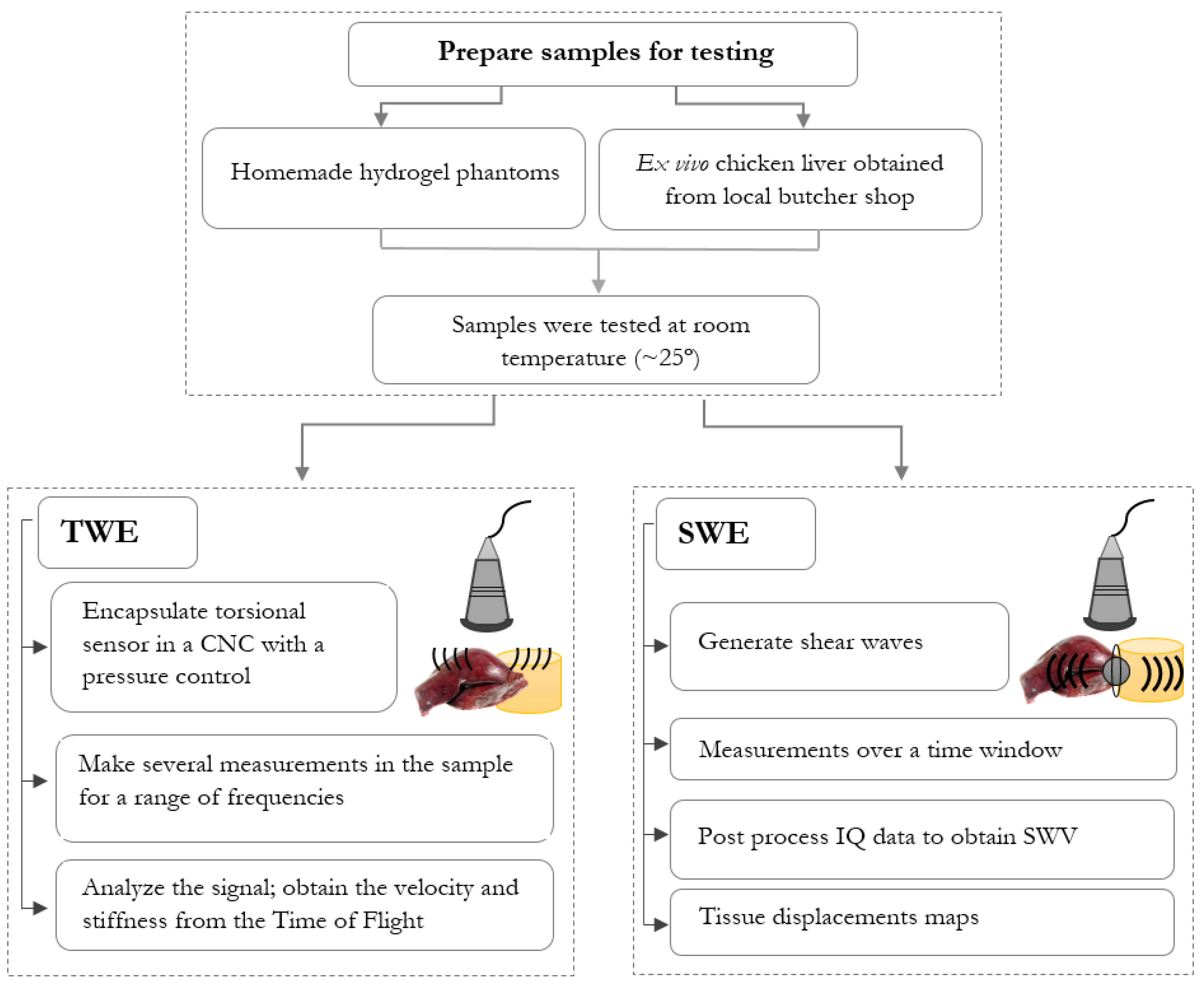 Diagnostics 10 00111 g001