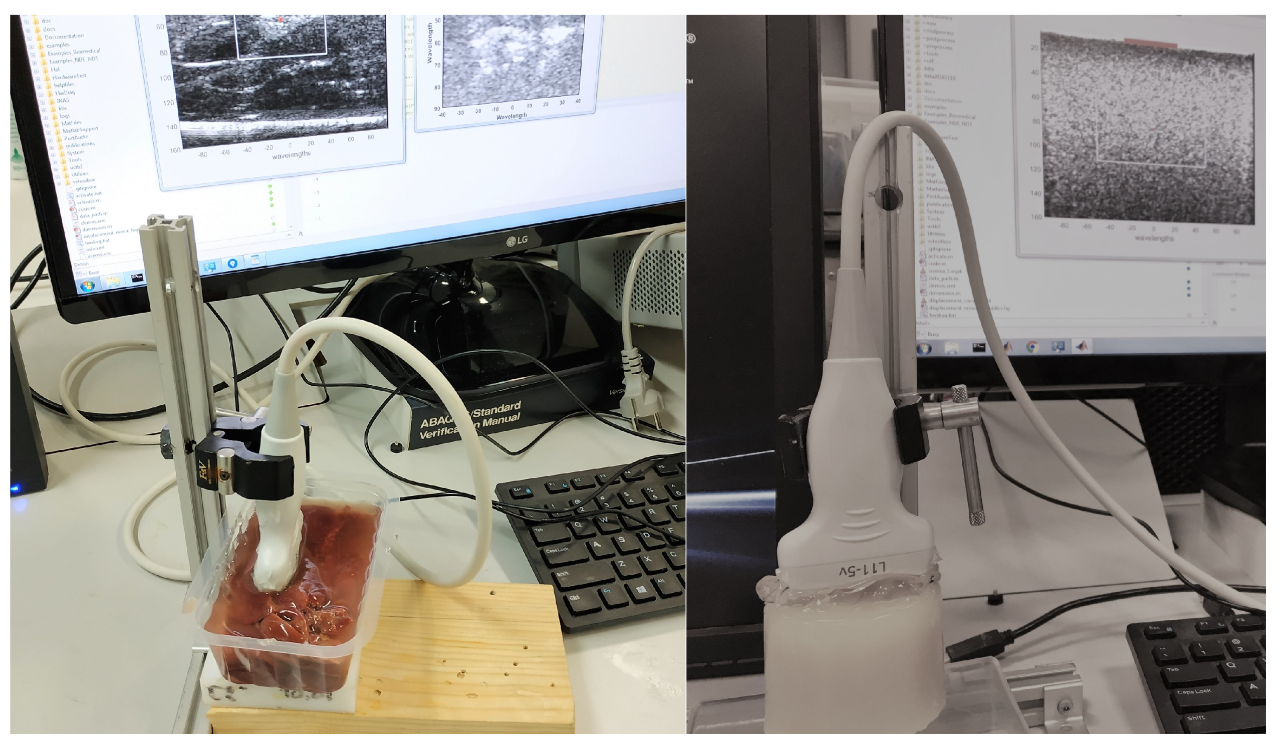 Diagnostics 10 00111 g005