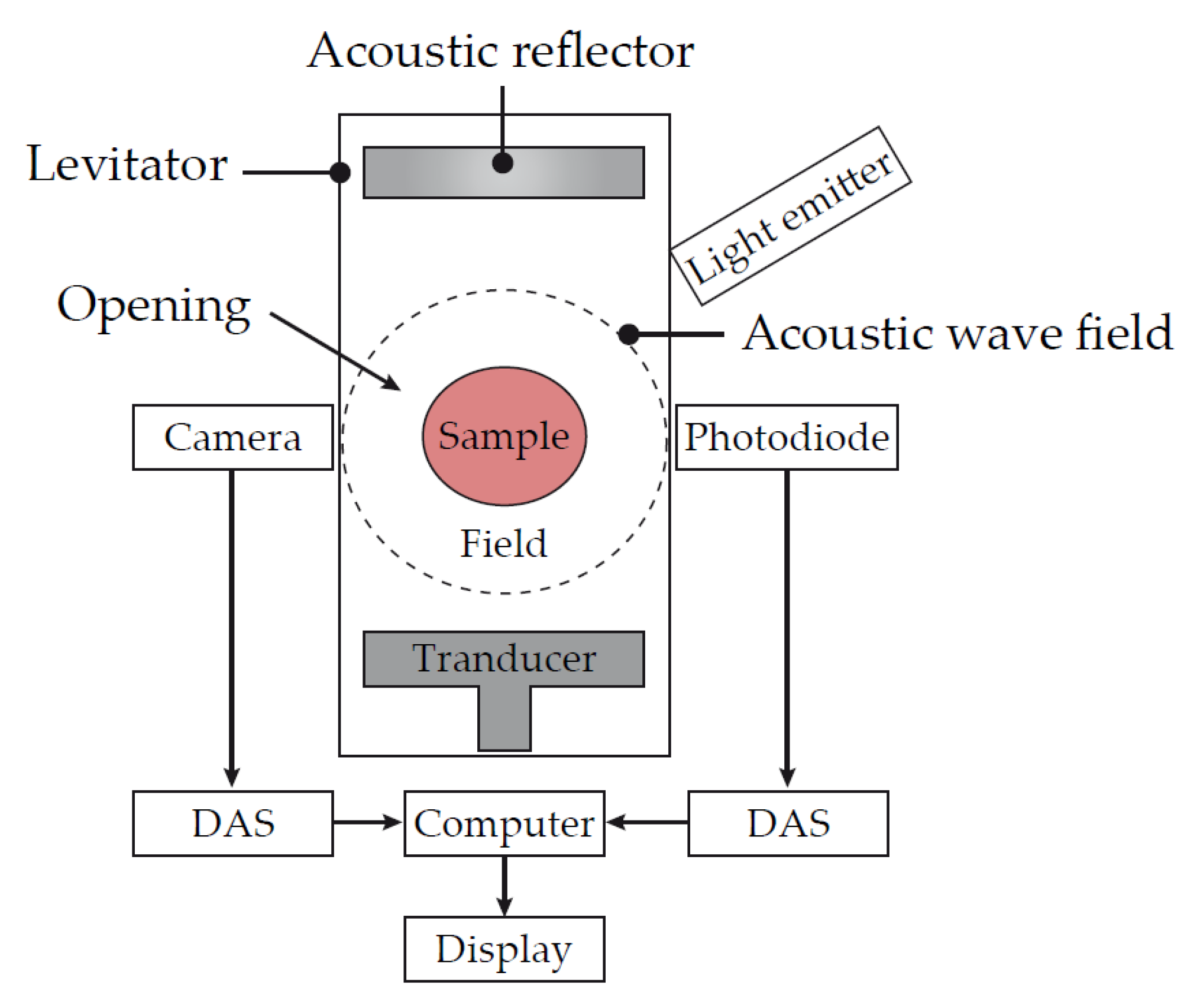 Diagnostics 10 00118 g010 Diagnostics 10 00118 g010
