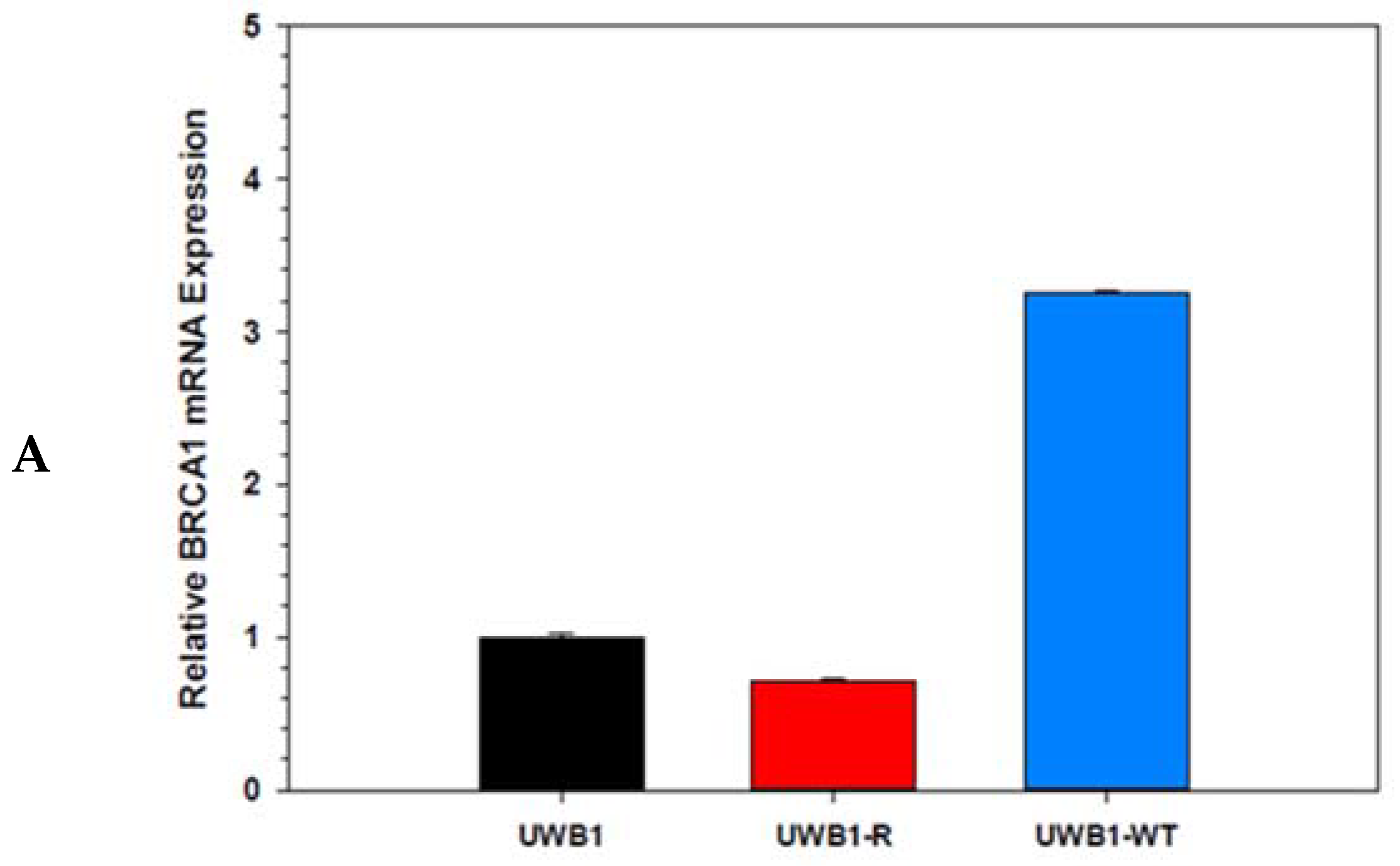 Diagnostics 10 00121 g001a Diagnostics 10 00121 g001a