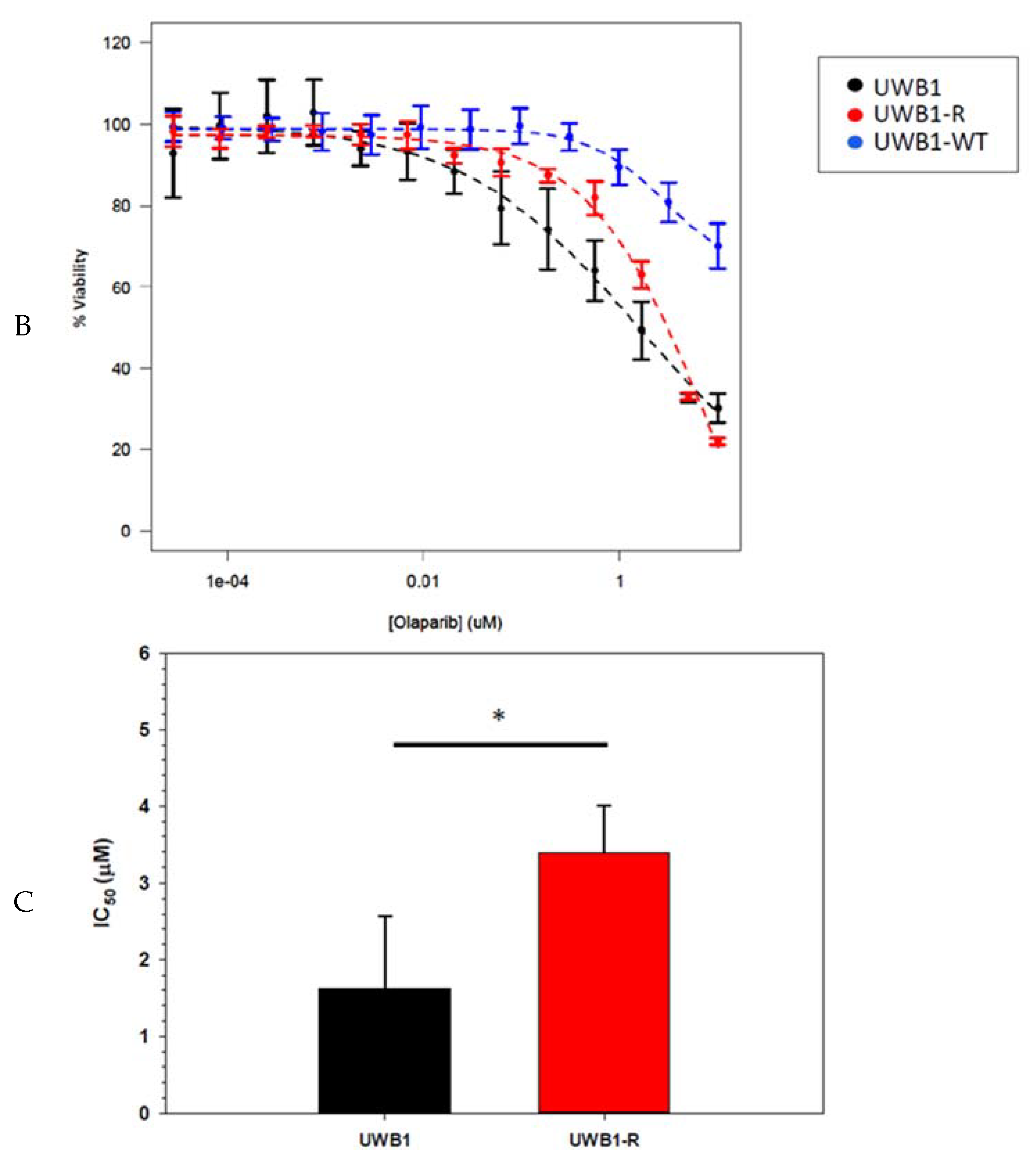 Diagnostics 10 00121 g001b Diagnostics 10 00121 g001b