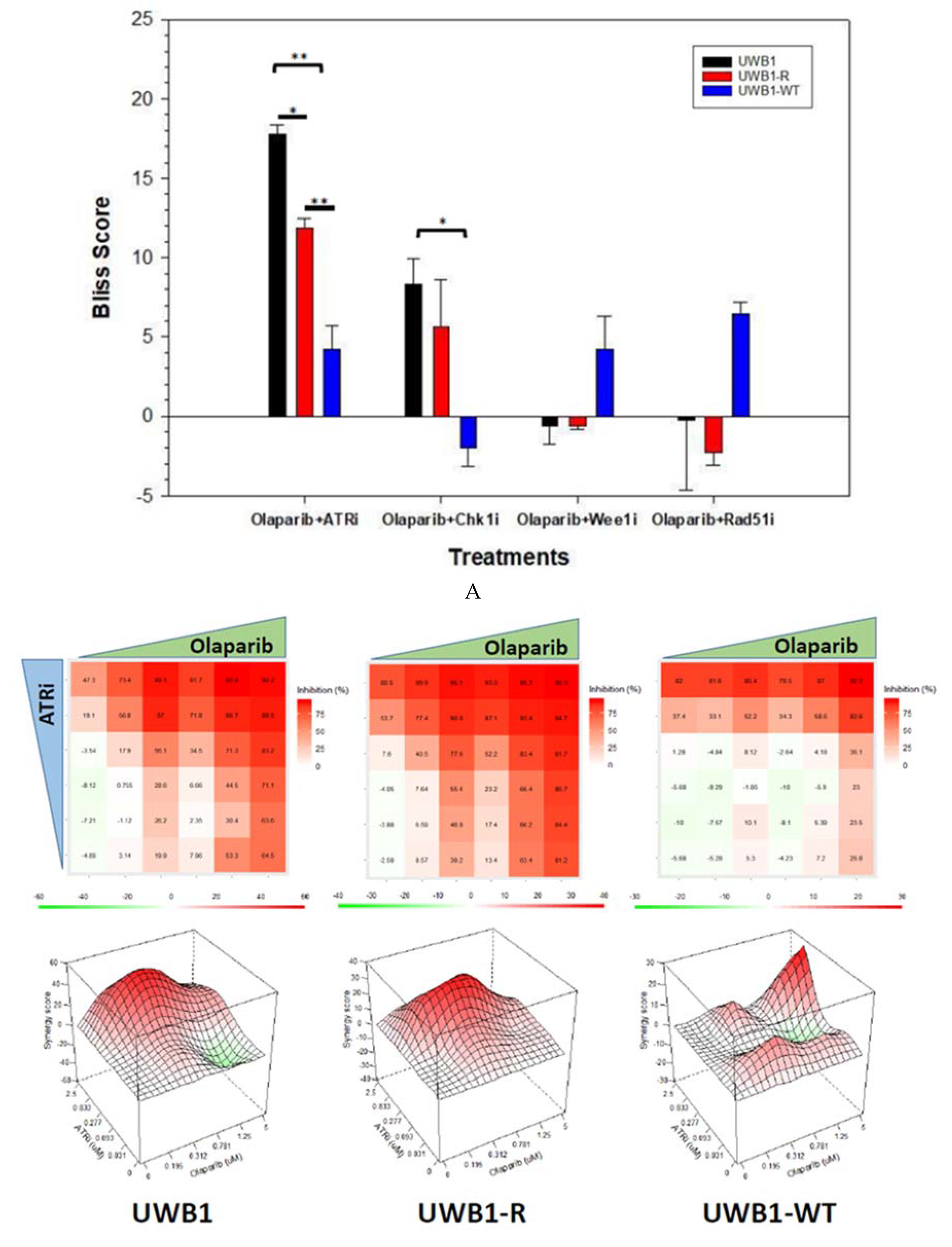 Diagnostics 10 00121 g003a Diagnostics 10 00121 g003a