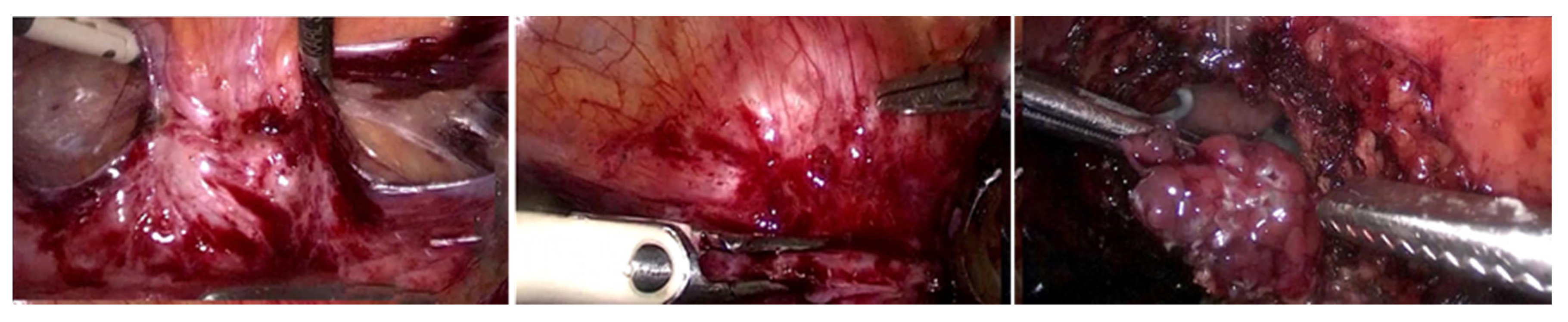 Diagnostics 10 00134 g002