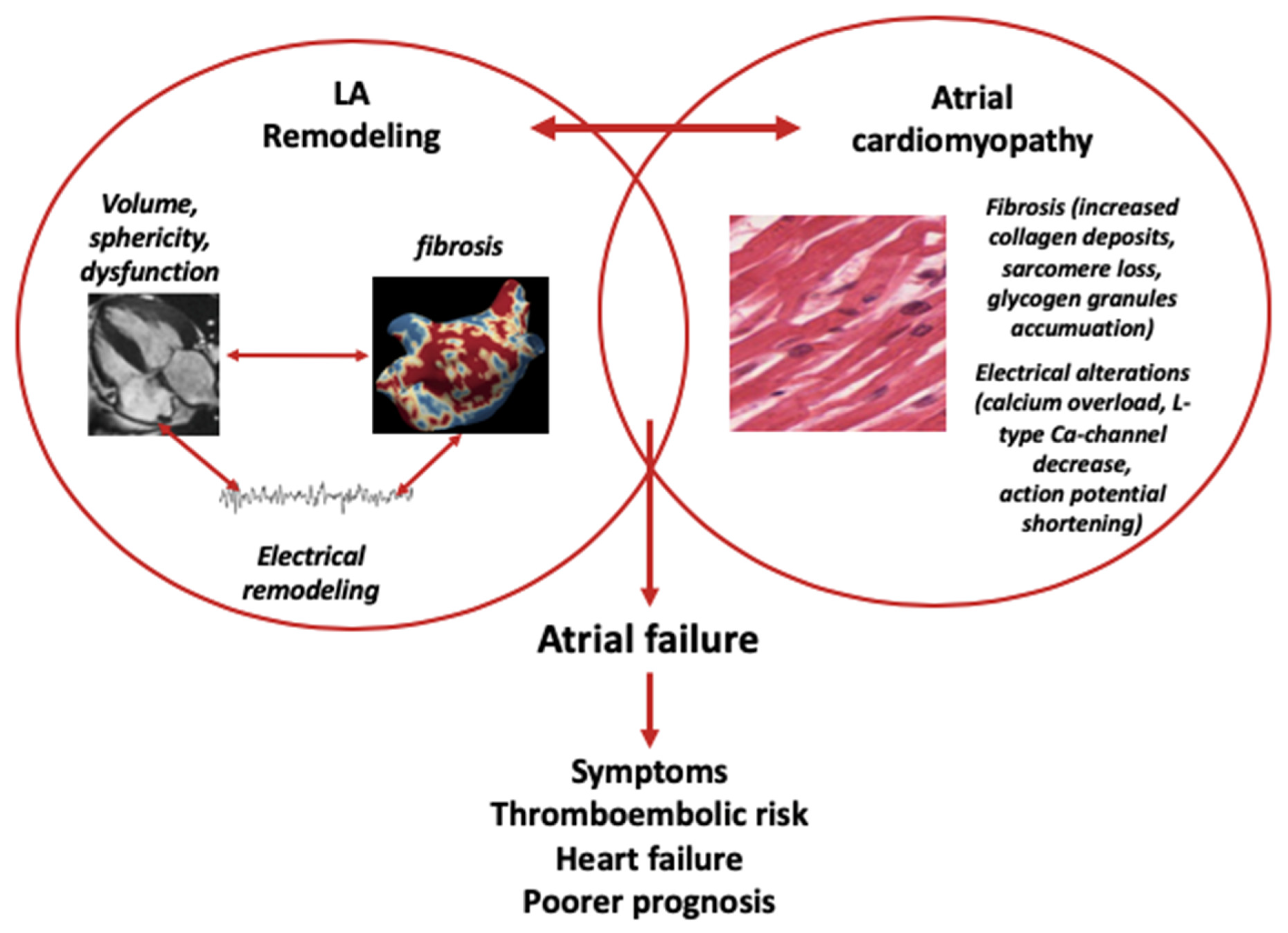 Diagnostics 10 00137 g001 Diagnostics 10 00137 g001