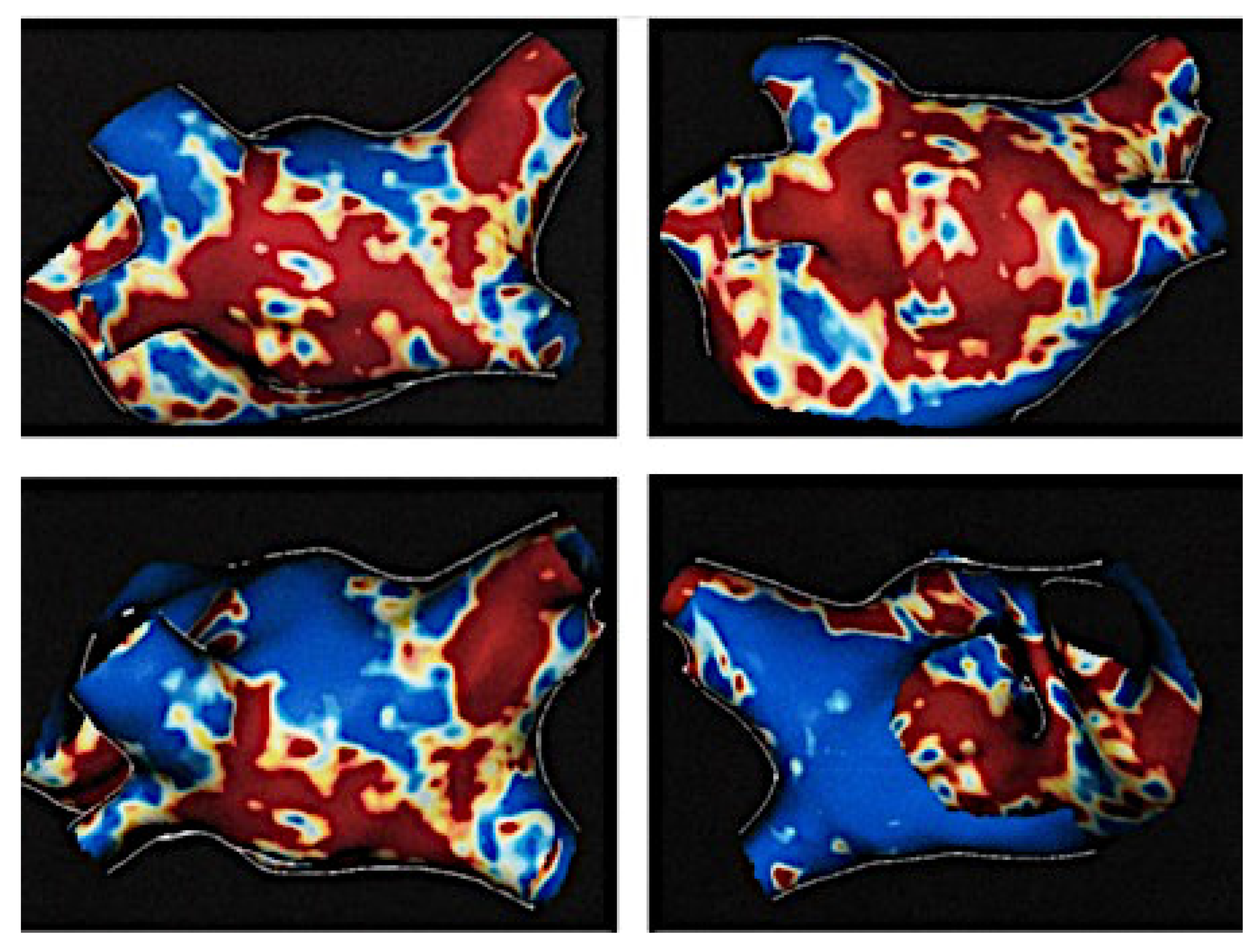 Diagnostics 10 00137 g002 Diagnostics 10 00137 g002