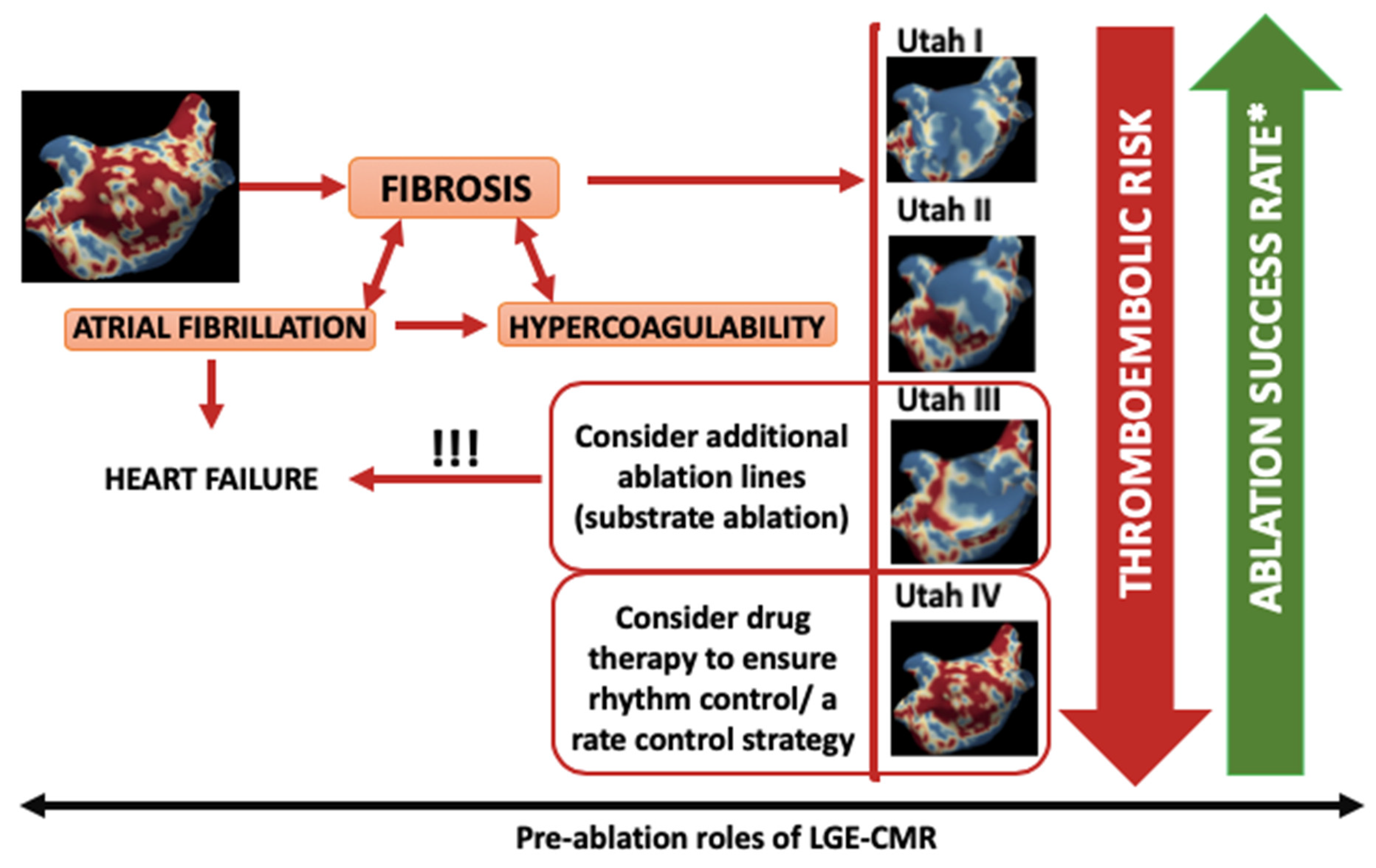 Diagnostics 10 00137 g003 Diagnostics 10 00137 g003