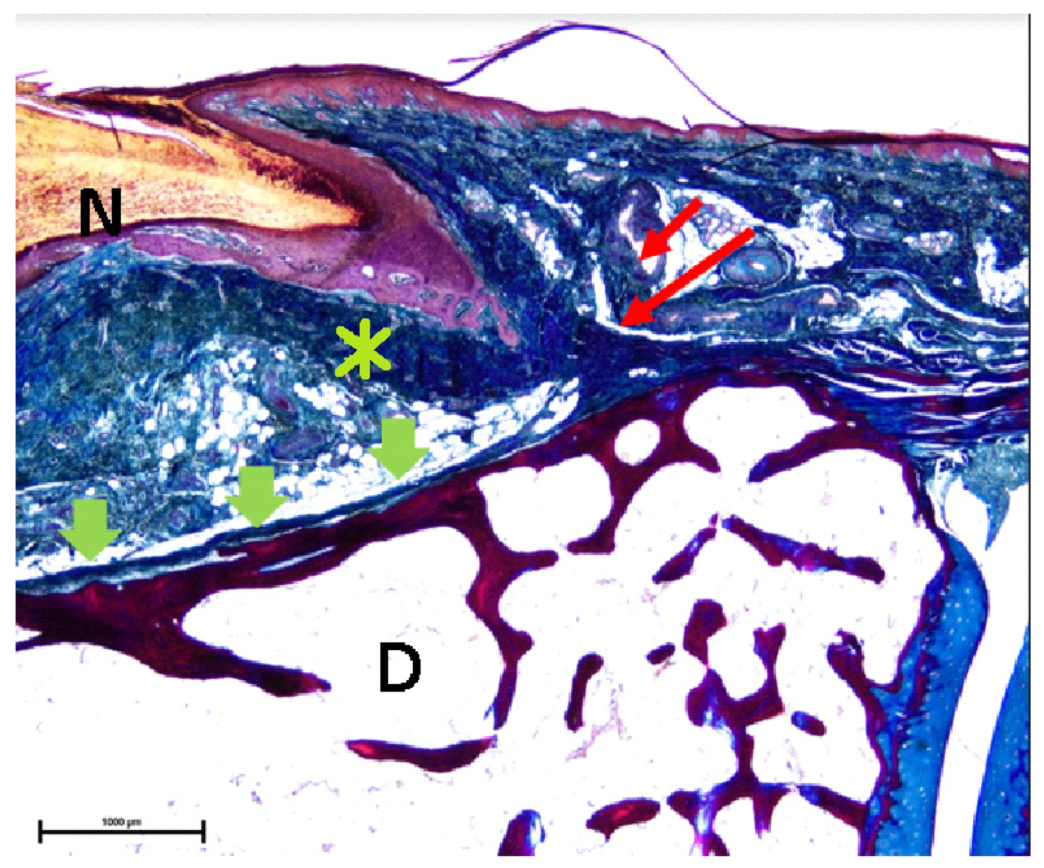 Diagnostics 10 00147 g003