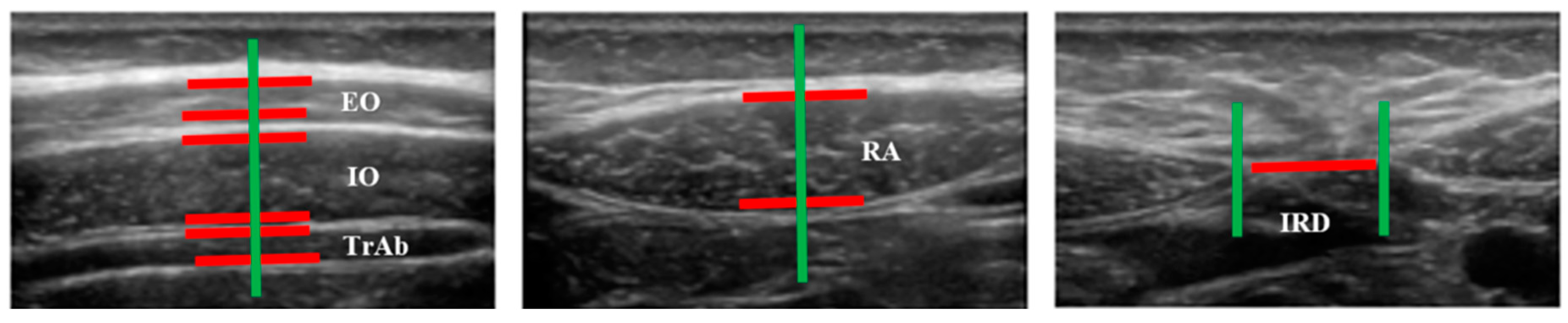 Diagnostics 10 00166 g002