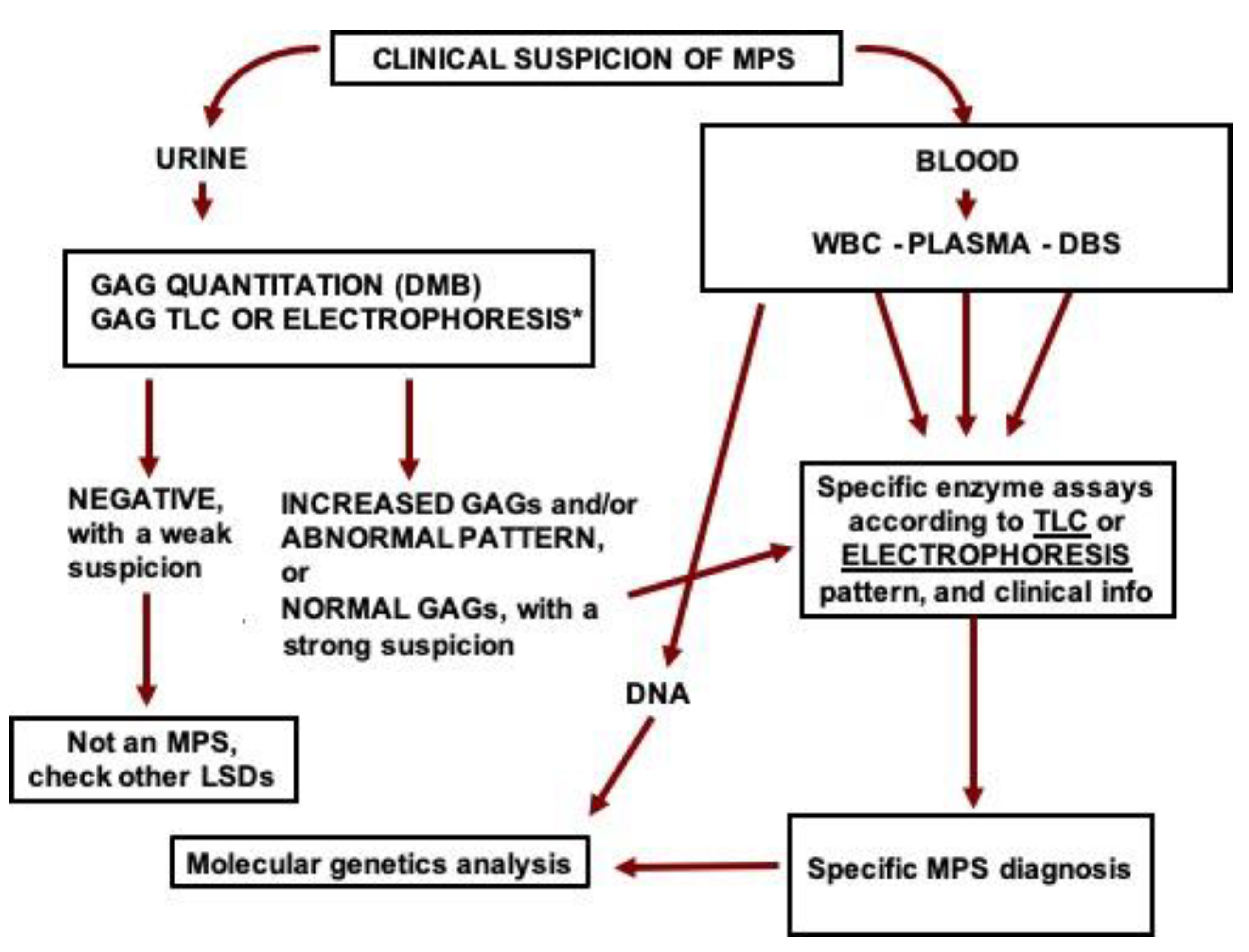 Diagnostics 10 00172 g005 Diagnostics 10 00172 g005