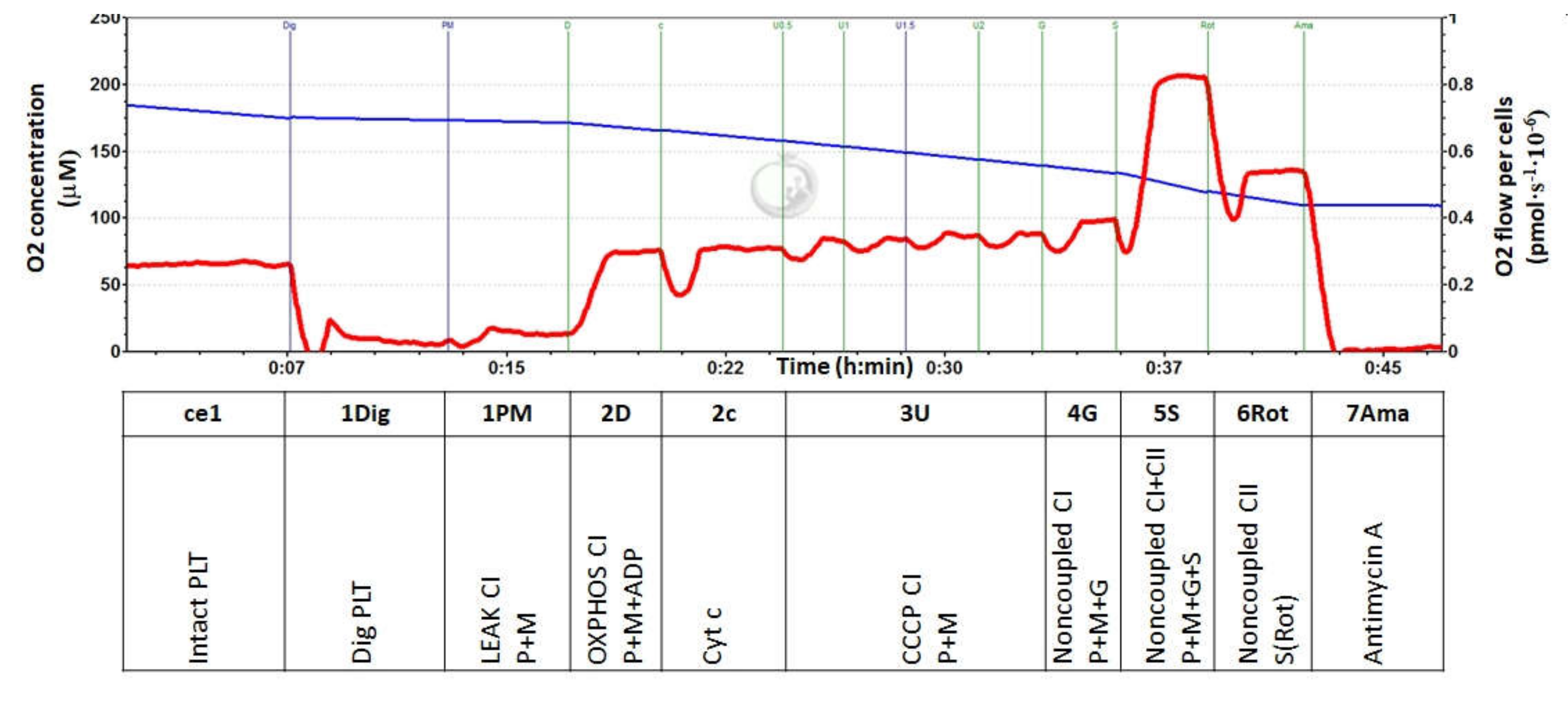 Diagnostics 10 00176 g001