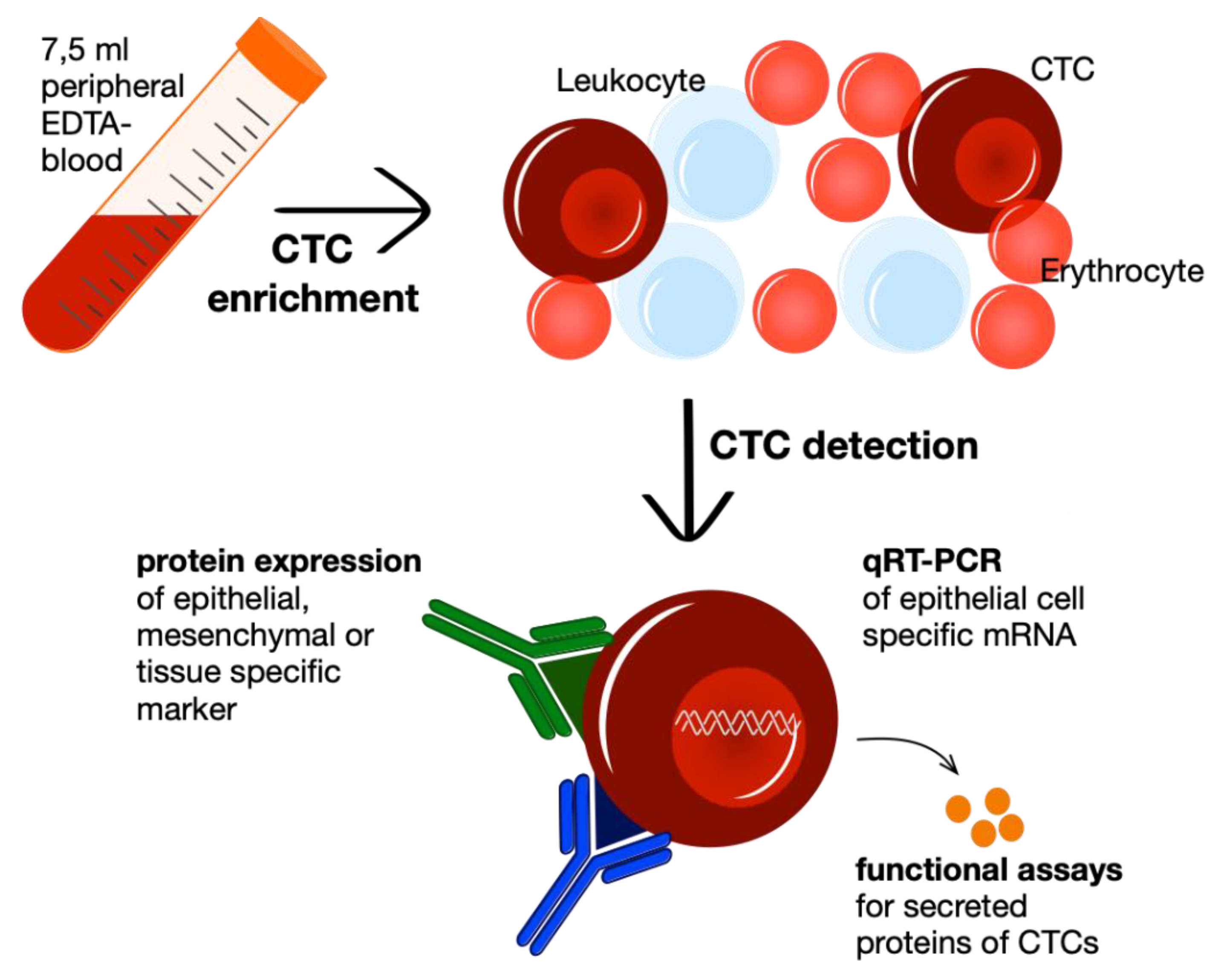 Diagnostics 10 00192 g002