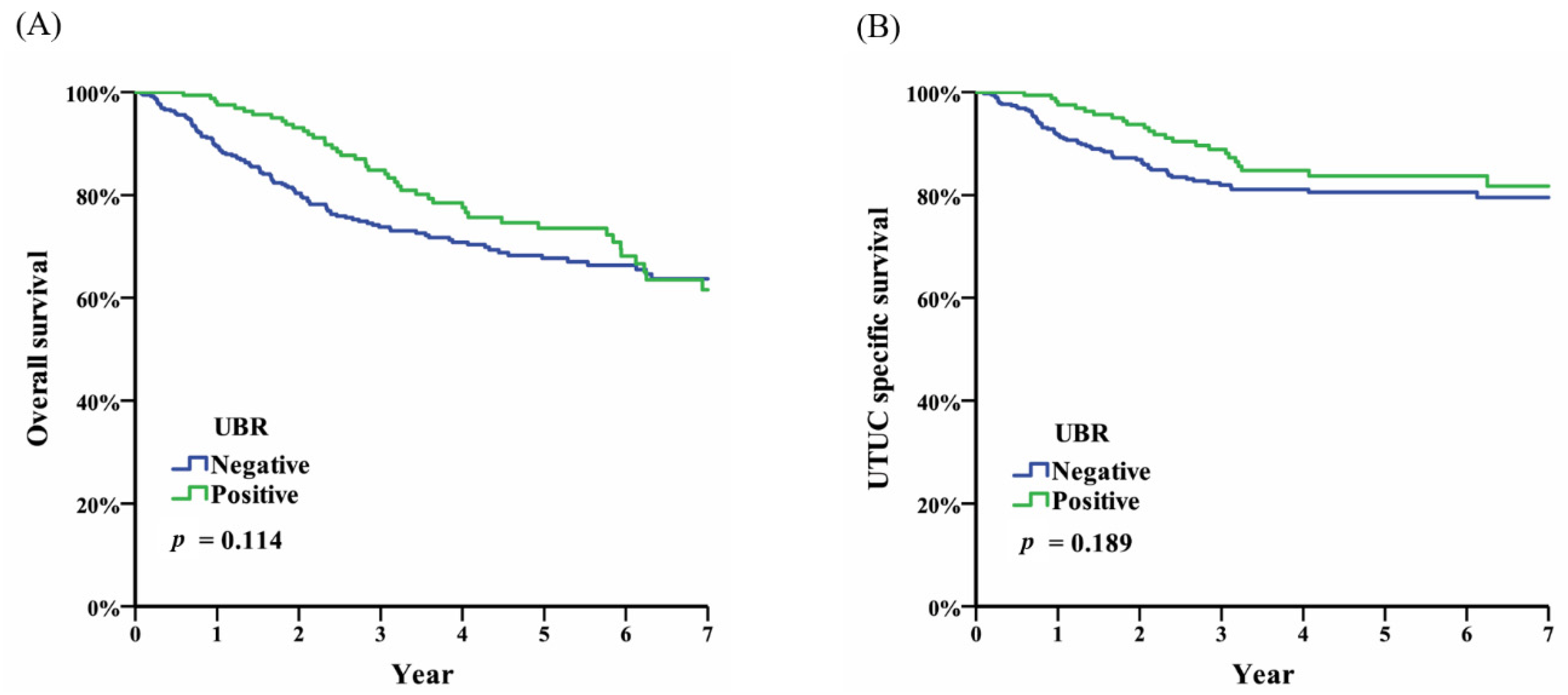 Diagnostics 10 00201 g001