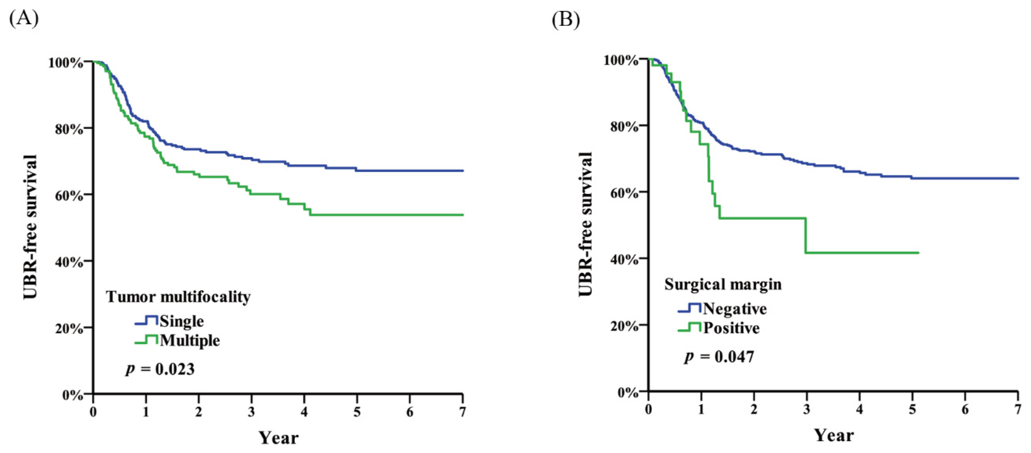 Diagnostics 10 00201 g002