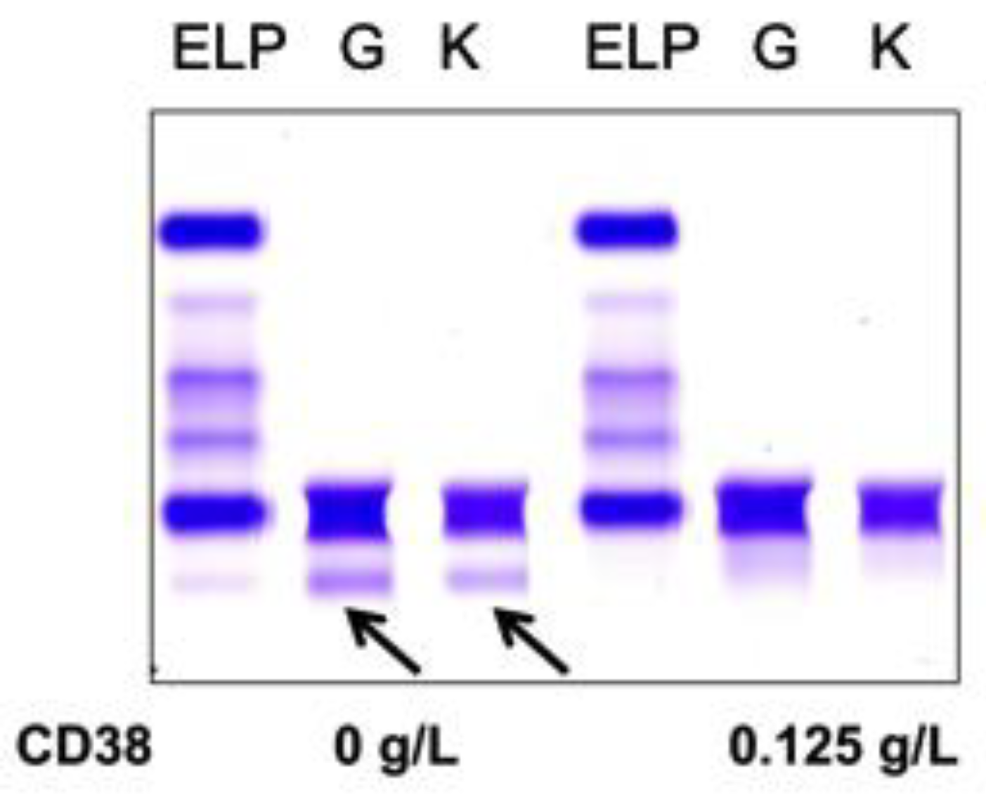 Diagnostics 10 00219 g005 Diagnostics 10 00219 g005