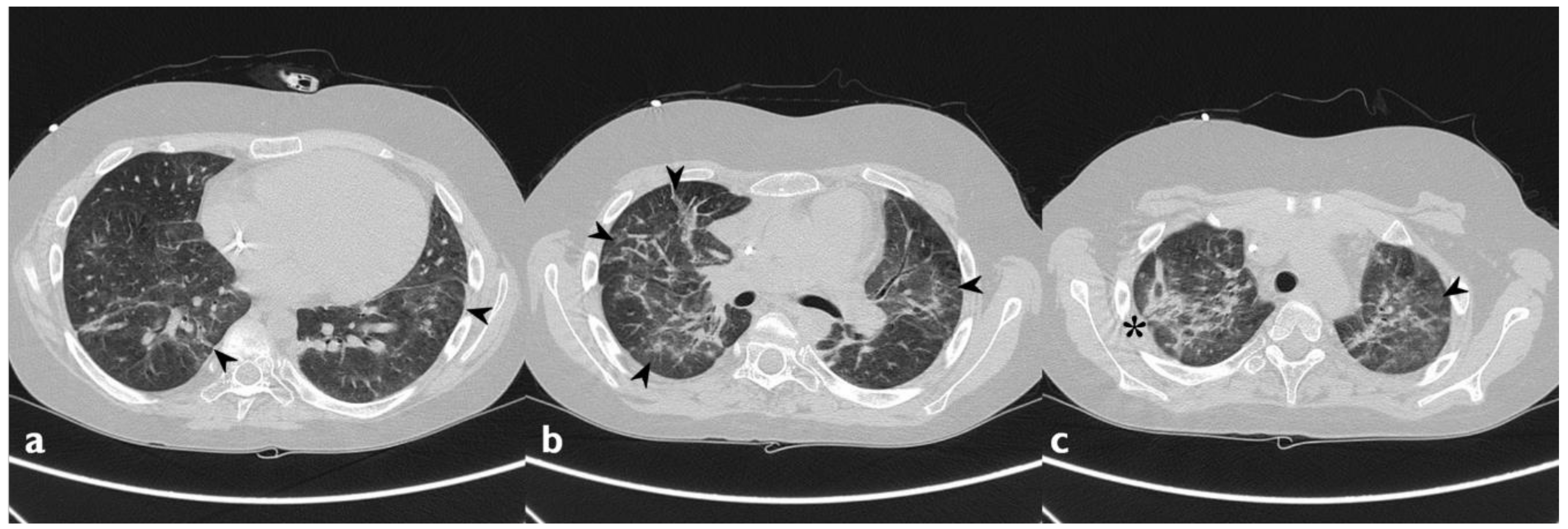 Diagnostics 10 00244 g003