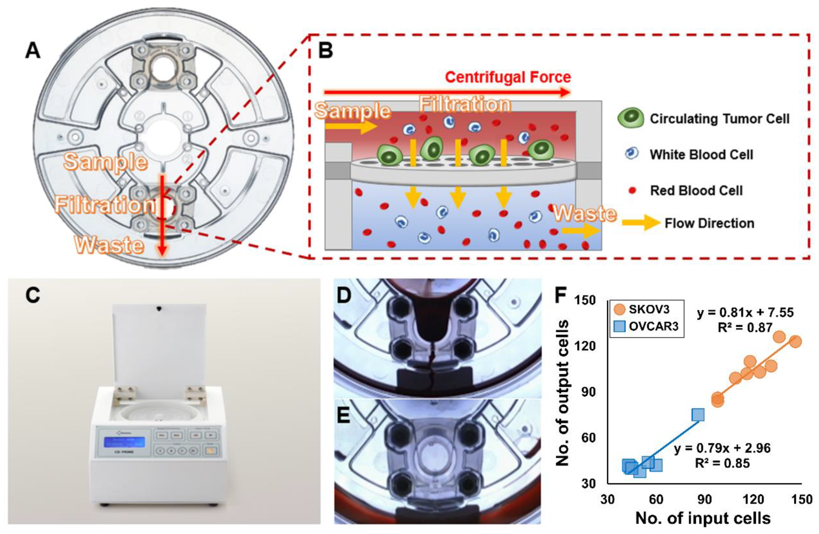 Diagnostics 10 00249 g001