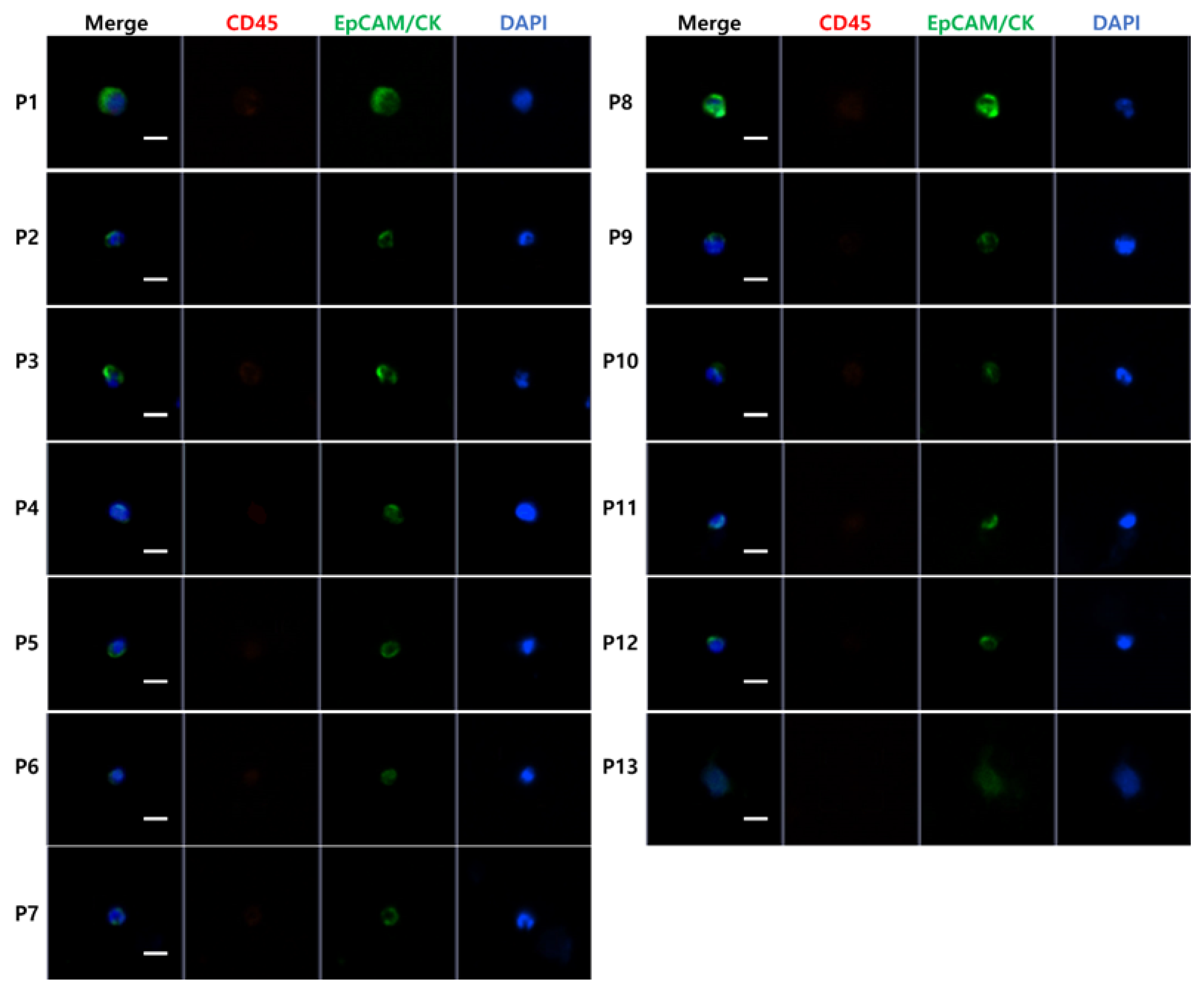 Diagnostics 10 00249 g002