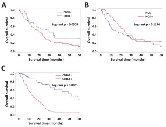Diagnostics 10 00256 g0a1