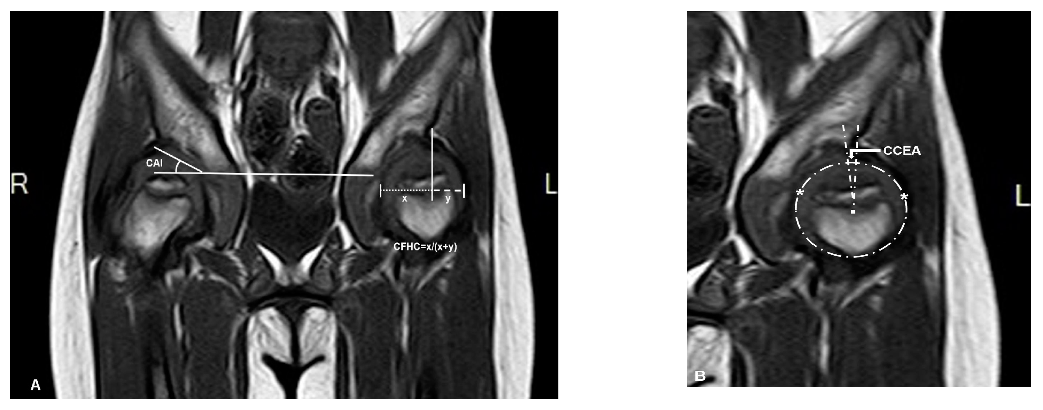 Diagnostics 10 00264 g002