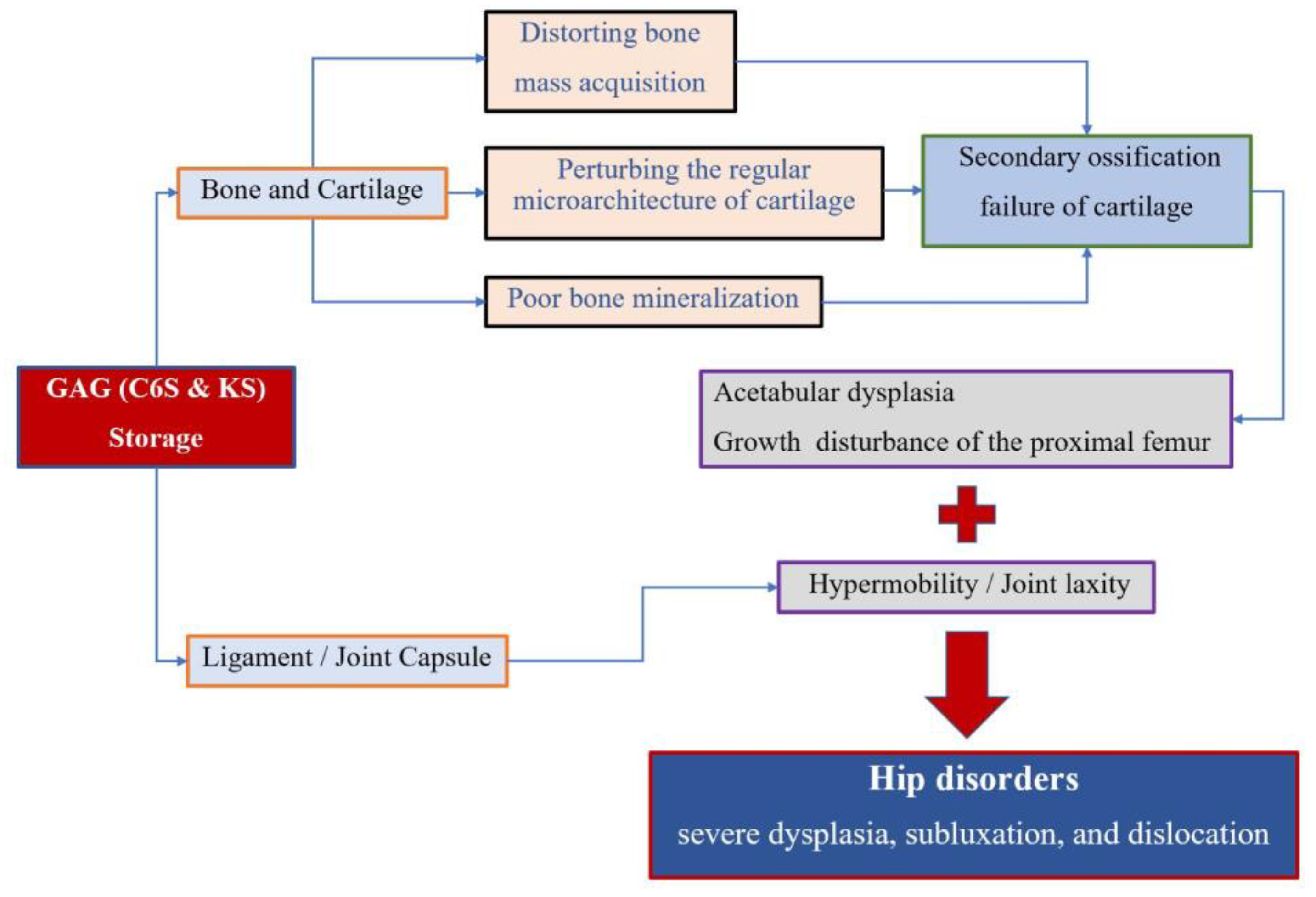 Diagnostics 10 00264 g005
